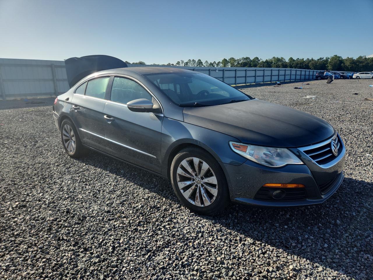 2010 Volkswagen Cc Sport Blue vin: WVWMN7AN3AE529405