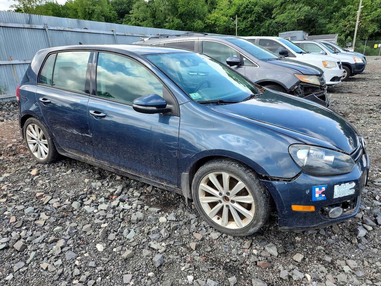 2012 Volkswagen Golf Blue vin: WVWNM7AJ4CW160541
