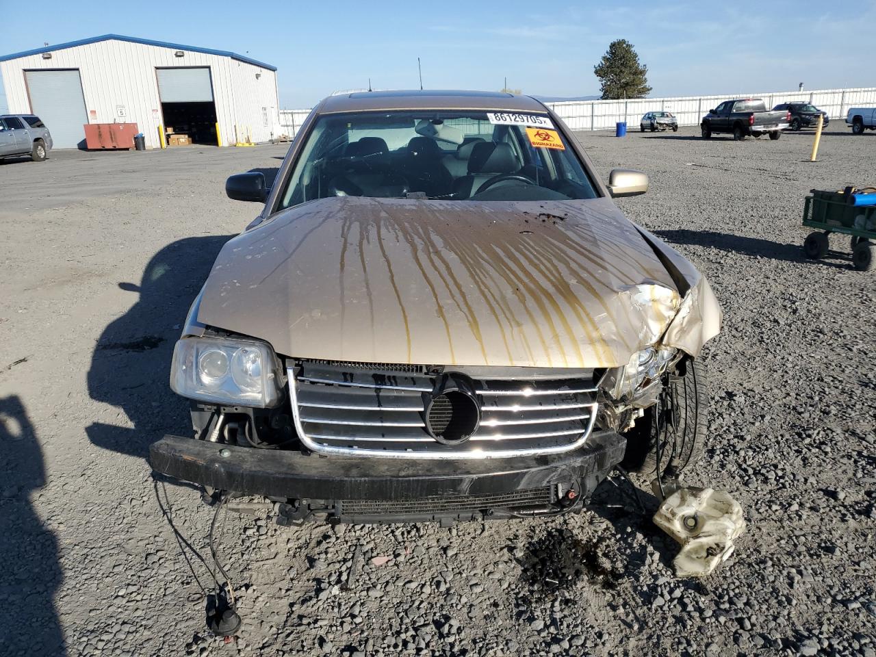 2001 Volkswagen Passat Glx 4motion Tan vin: WVWTH63B41E167410