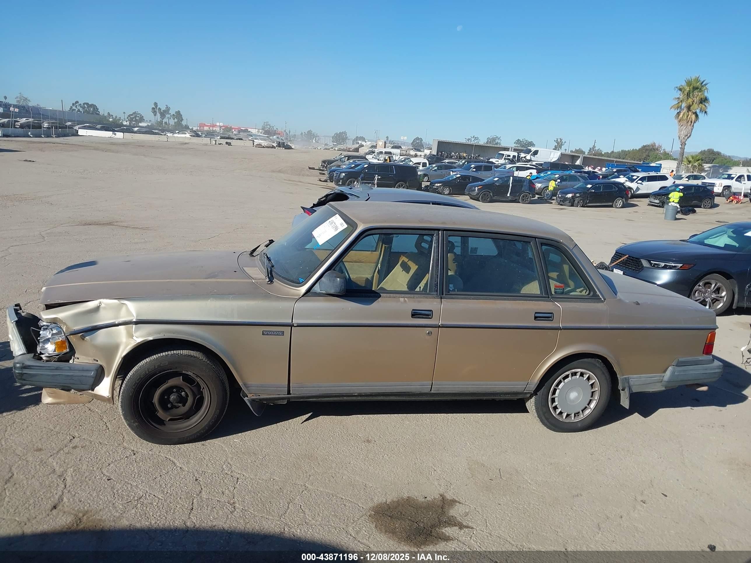 1991 Volvo 240   Gold vin: YV1AA8840M1441323