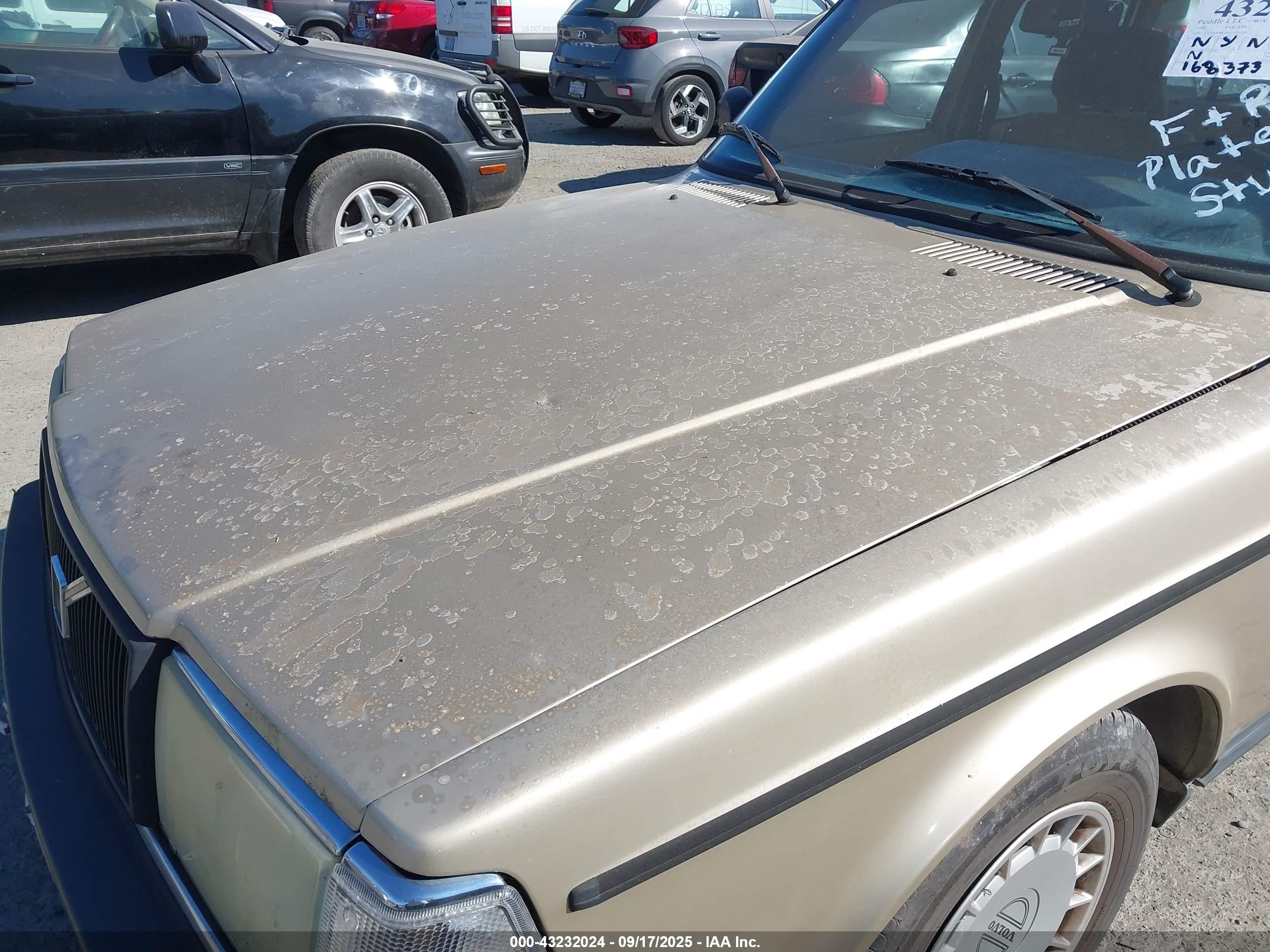 1992 Volvo 240   Золотой vin: YV1AW8810N1920138