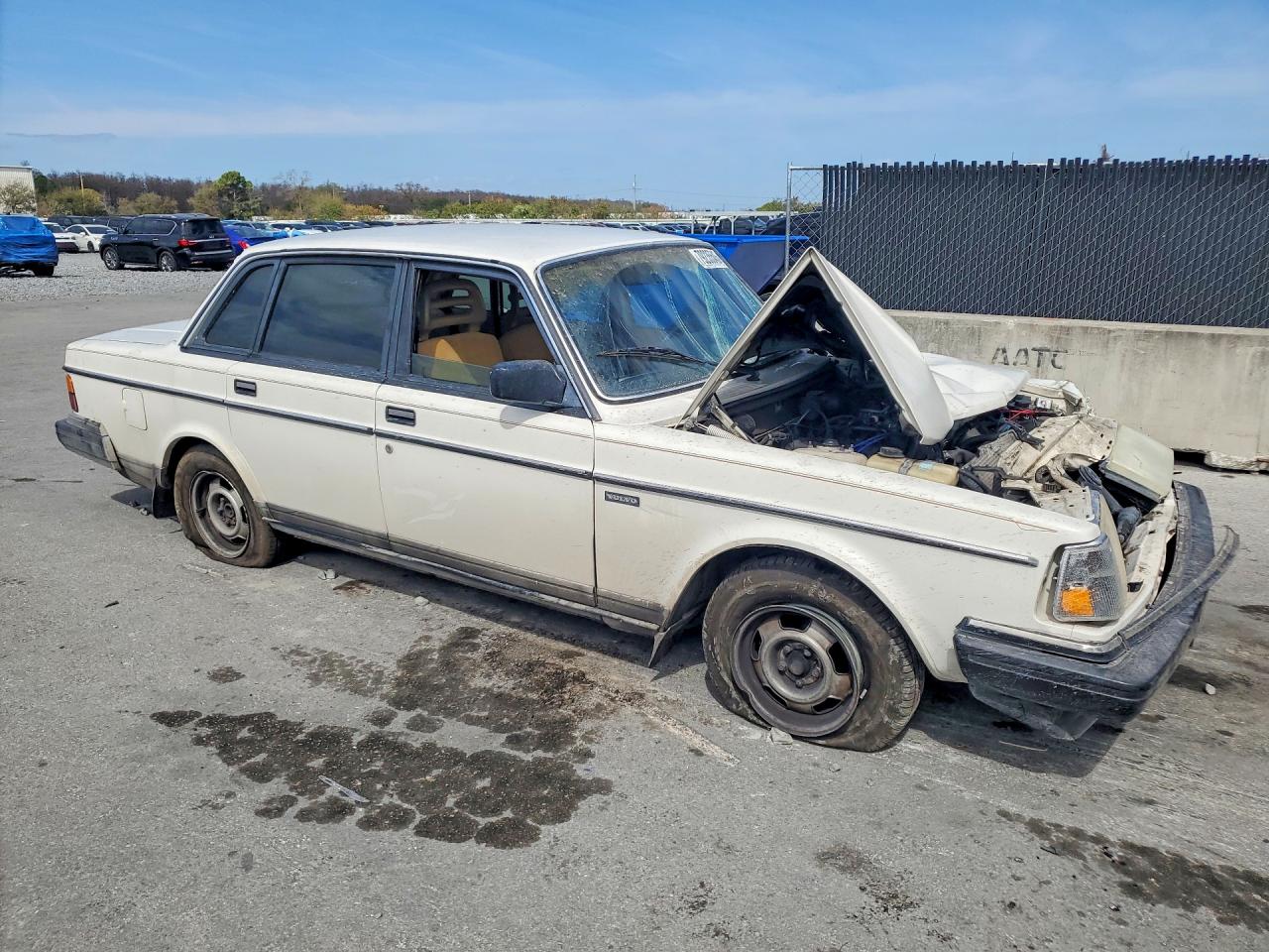 1988 Volvo 244 Dl Белый vin: YV1AX8840J1315652