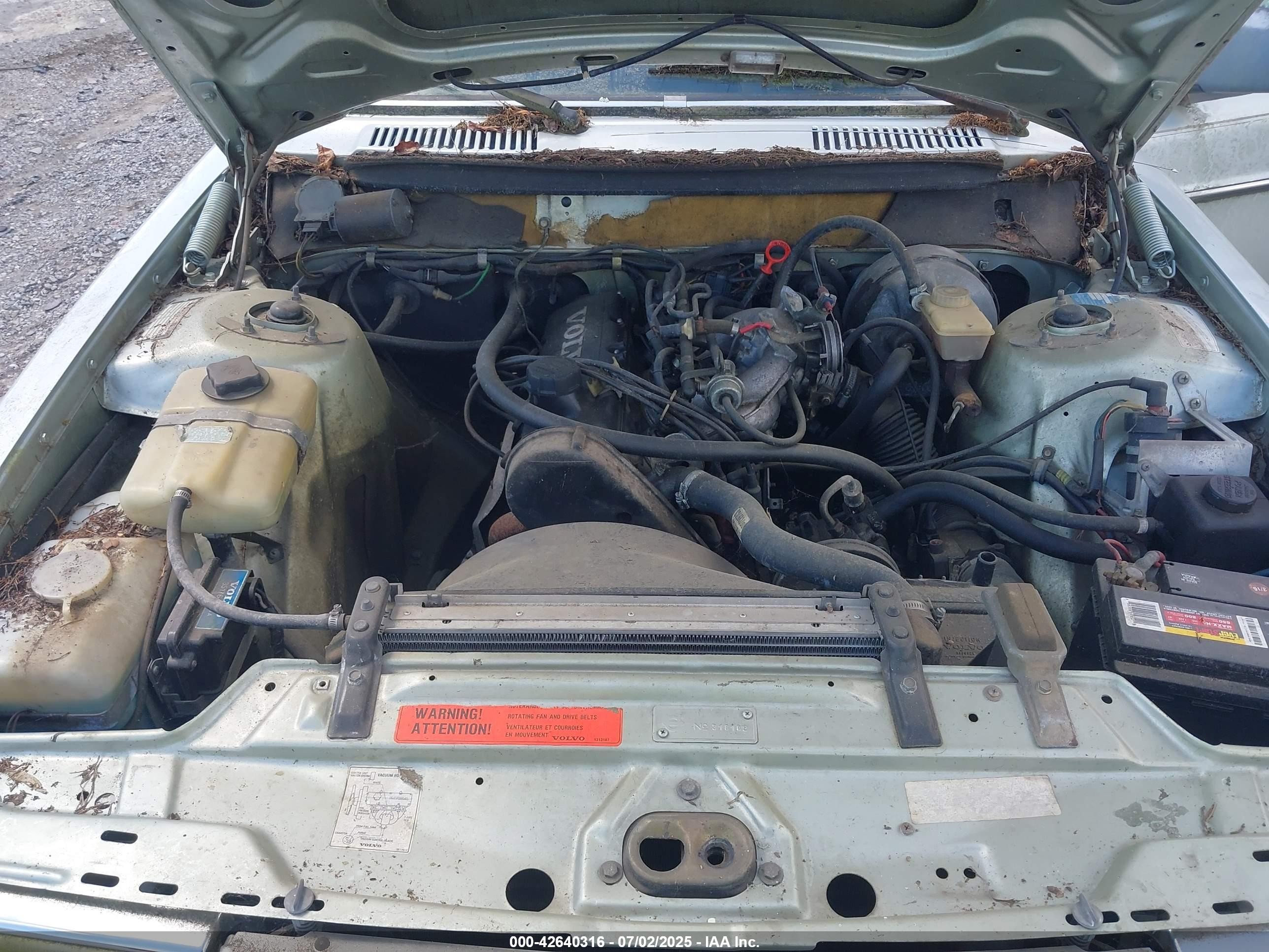1988 Volvo 244 Dl/gl Light Blue vin: YV1AX8844J1318926