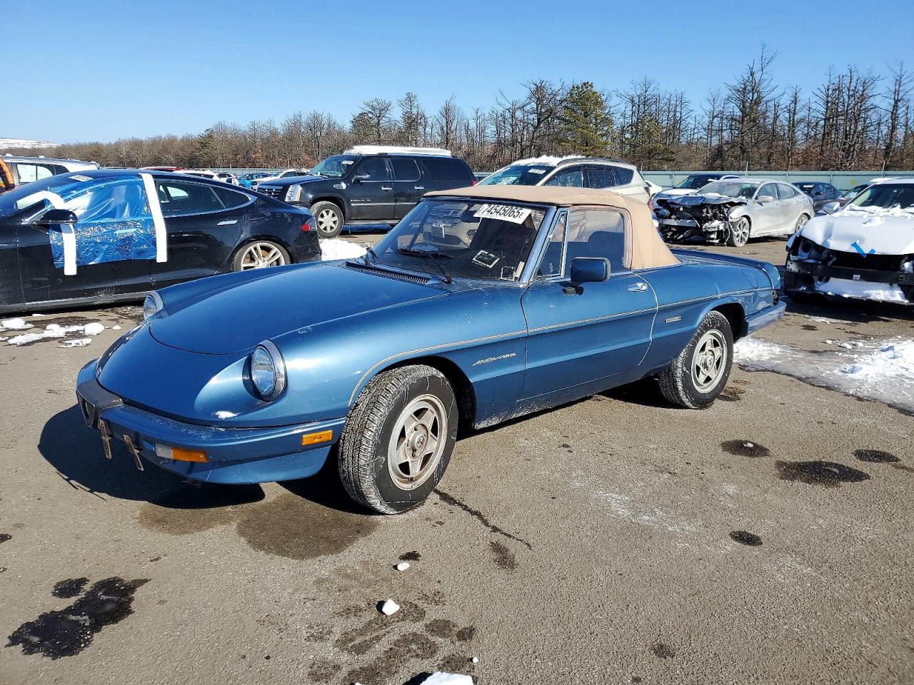 1986 Alfa Romeo Veloce 2000 Spider Blue vin: ZARBA5410G1037419