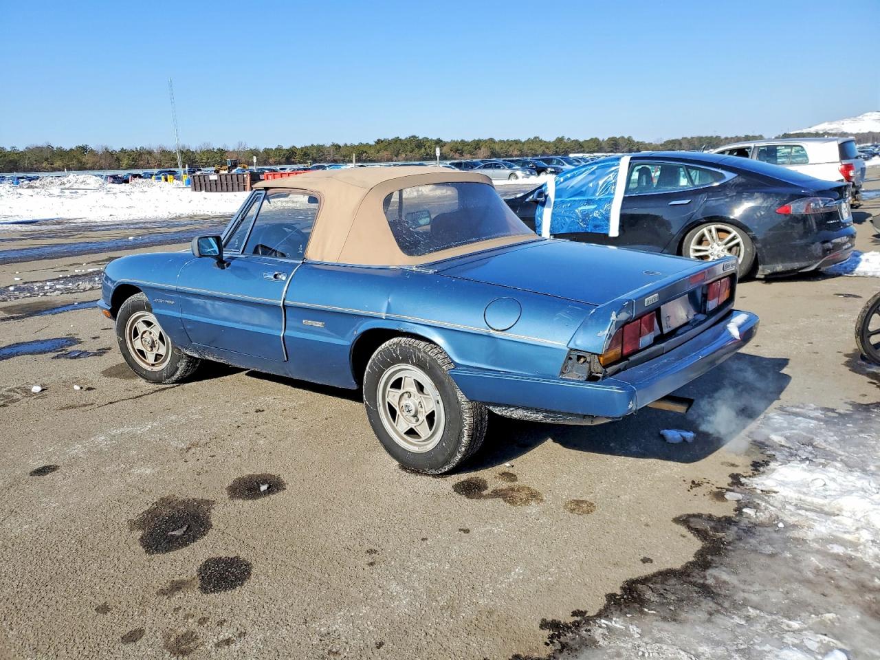 1986 Alfa Romeo Veloce 2000 Spider Blue vin: ZARBA5410G1037419