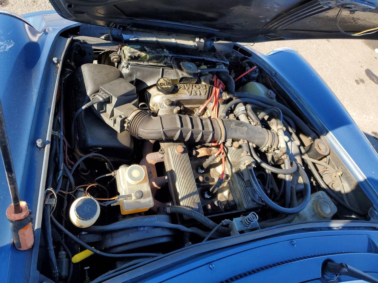 1986 Alfa Romeo Veloce 2000 Spider Blue vin: ZARBA5410G1037419