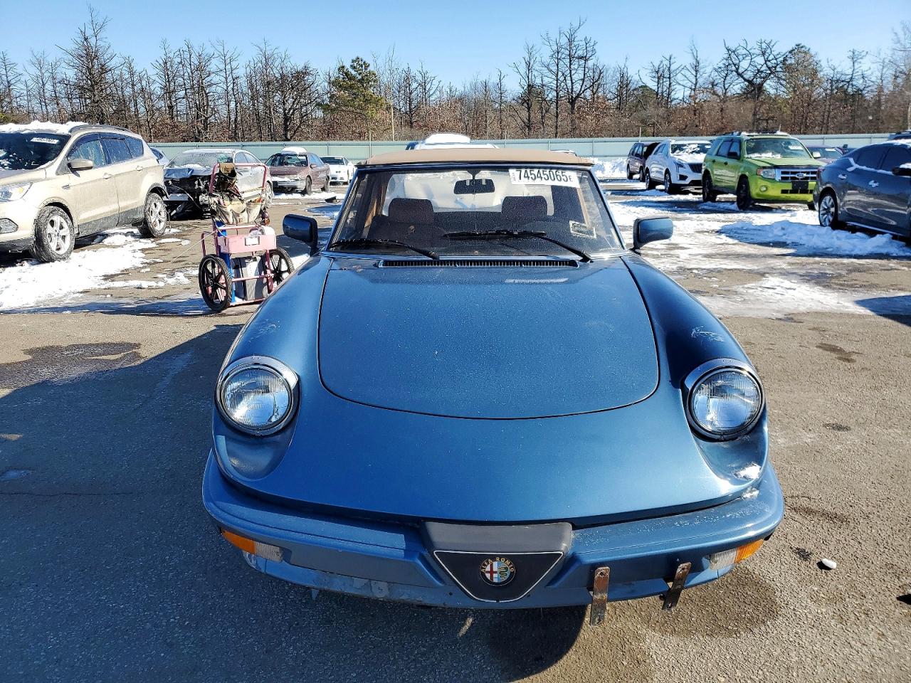 1986 Alfa Romeo Veloce 2000 Spider Blue vin: ZARBA5410G1037419