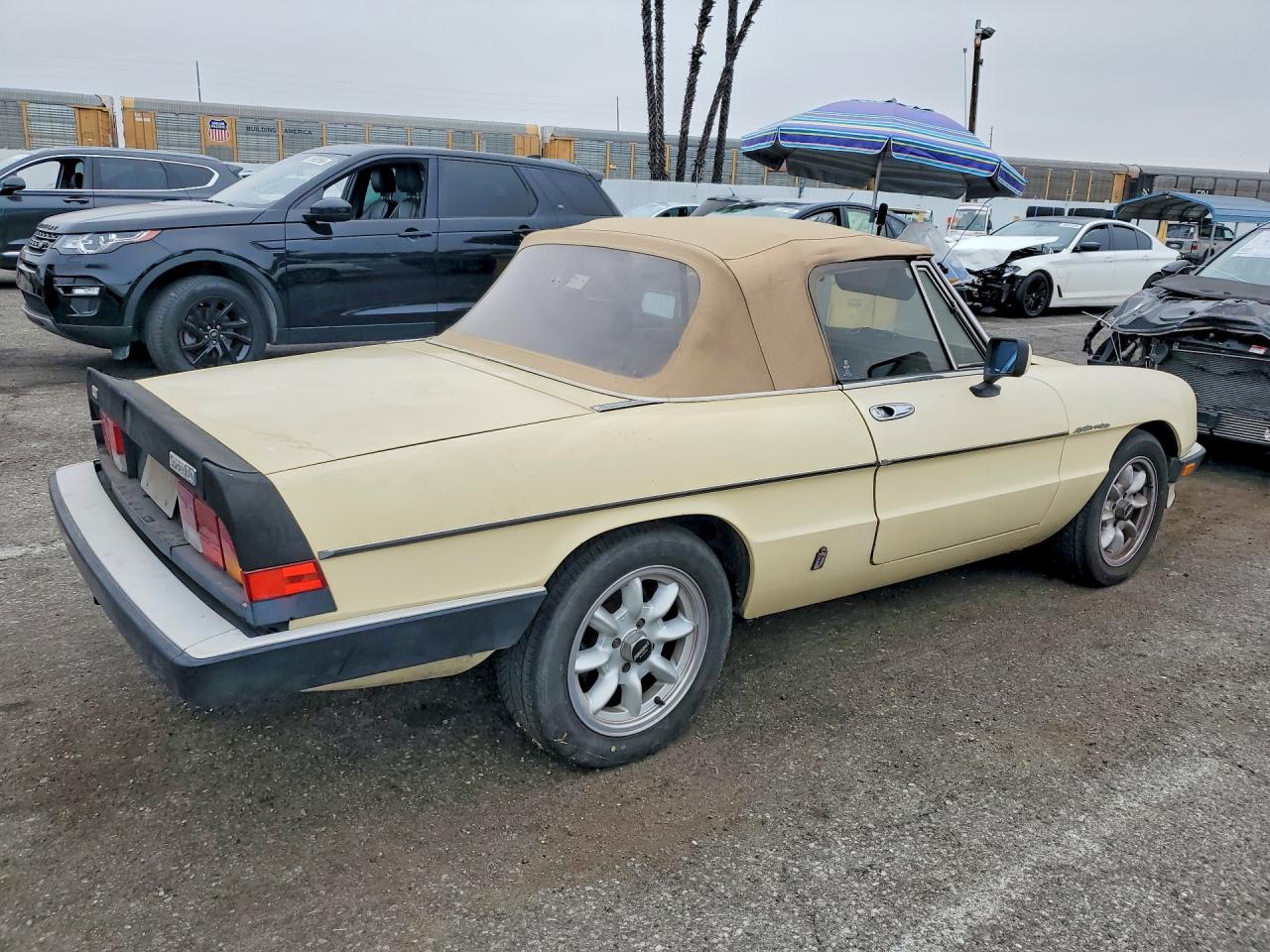 1984 Alfa Romeo Veloce 2000 Spider Желтый vin: ZARBA5413E1020465
