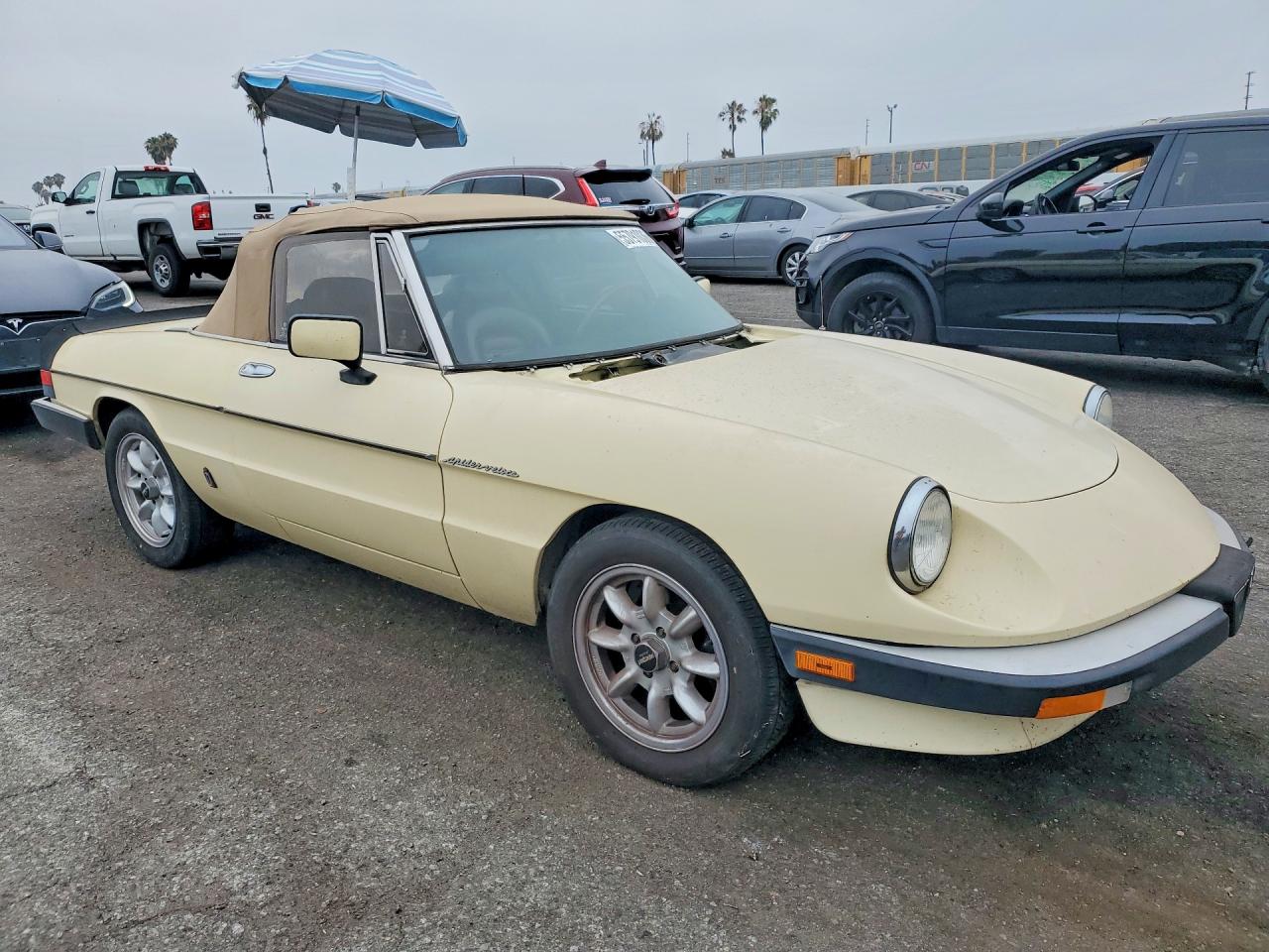1984 Alfa Romeo Veloce 2000 Spider Желтый vin: ZARBA5413E1020465