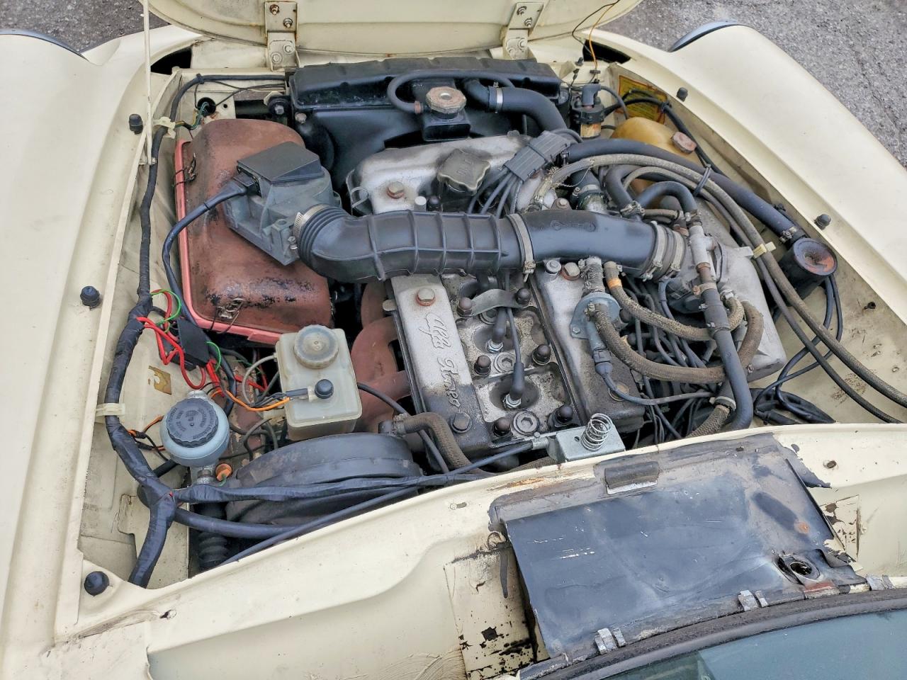 1984 Alfa Romeo Veloce 2000 Spider Желтый vin: ZARBA5413E1020465