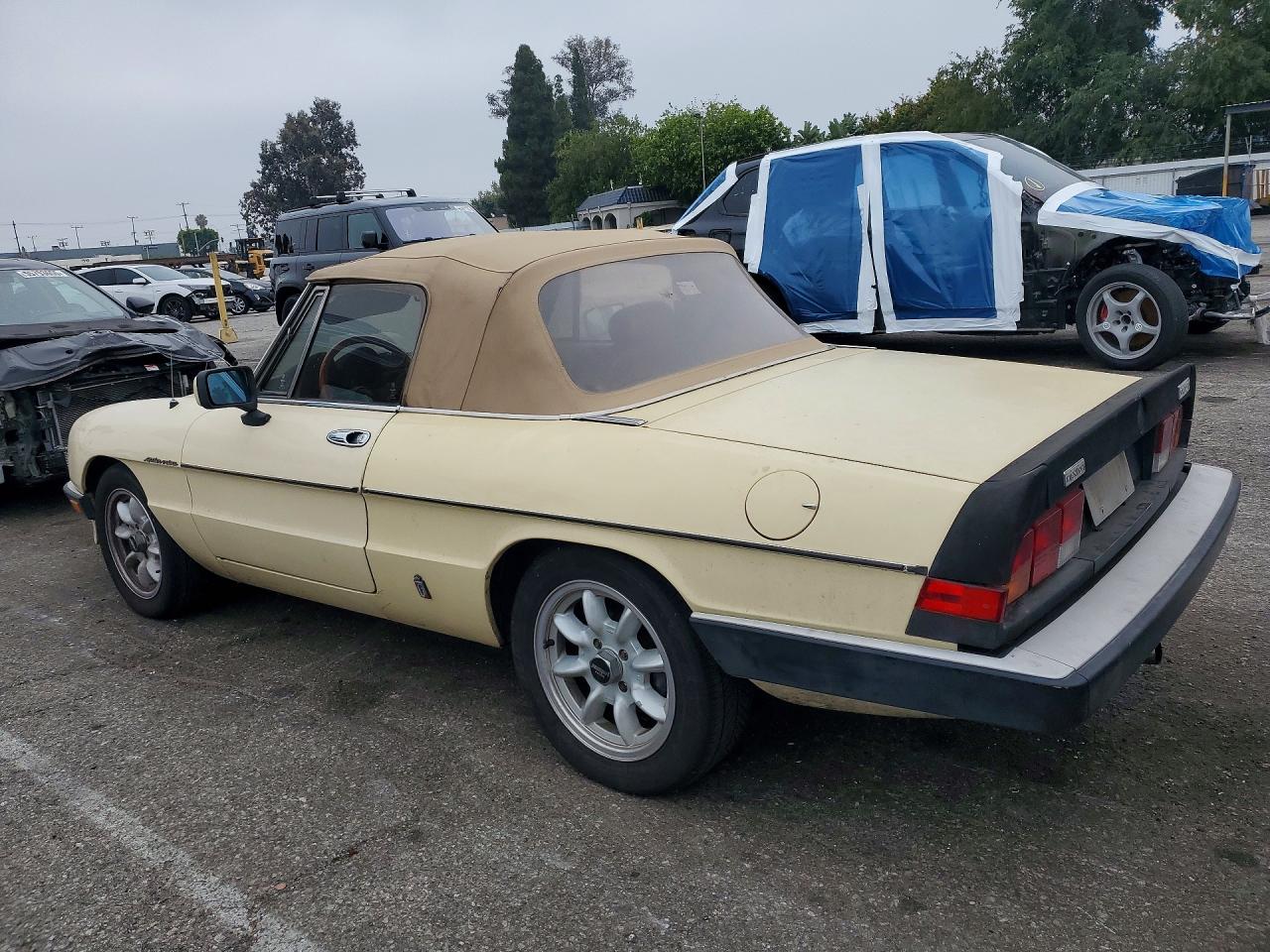 1984 Alfa Romeo Veloce 2000 Spider Желтый vin: ZARBA5413E1020465