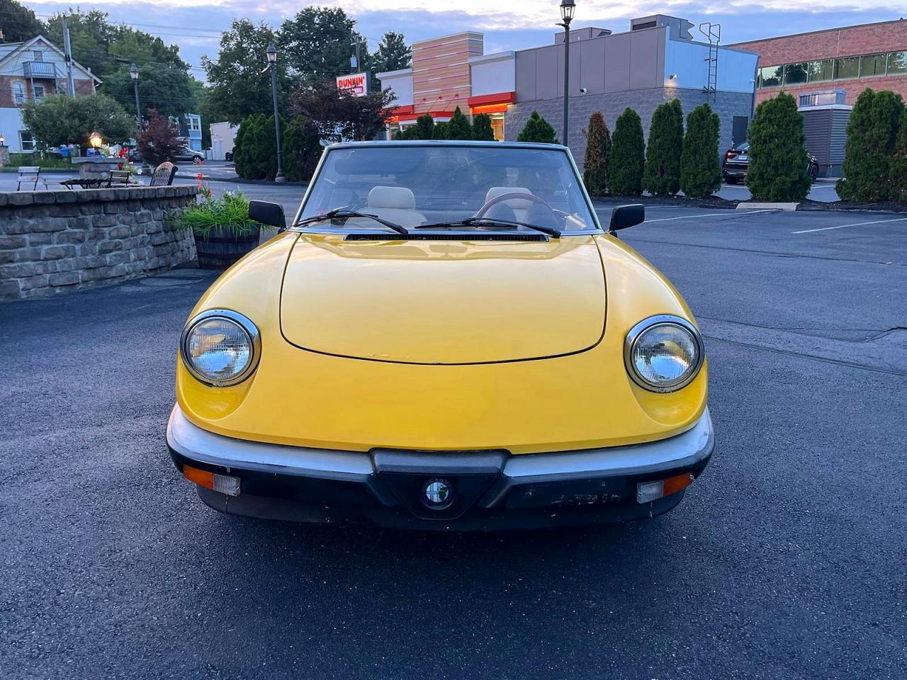 1983 Alfa Romeo Veloce 2000 Spider Yellow vin: ZARBA5419D1016838