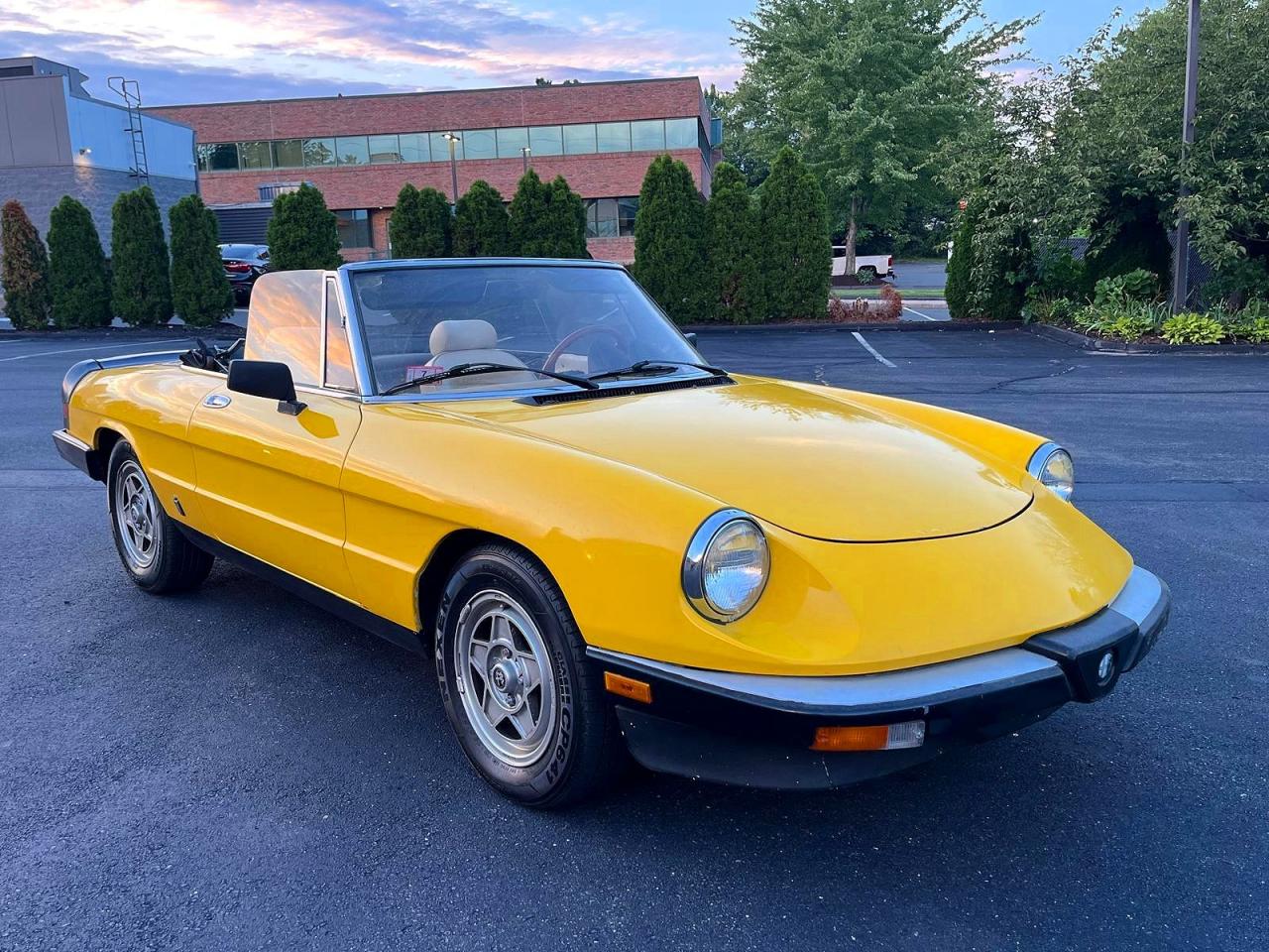 1983 Alfa Romeo Veloce 2000 Spider Yellow vin: ZARBA5419D1016838