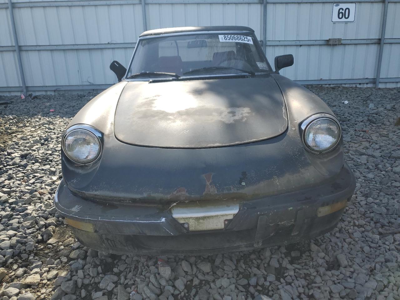 1987 Alfa Romeo Spider Quadrifoglio Black vin: ZARBA5562H1052788