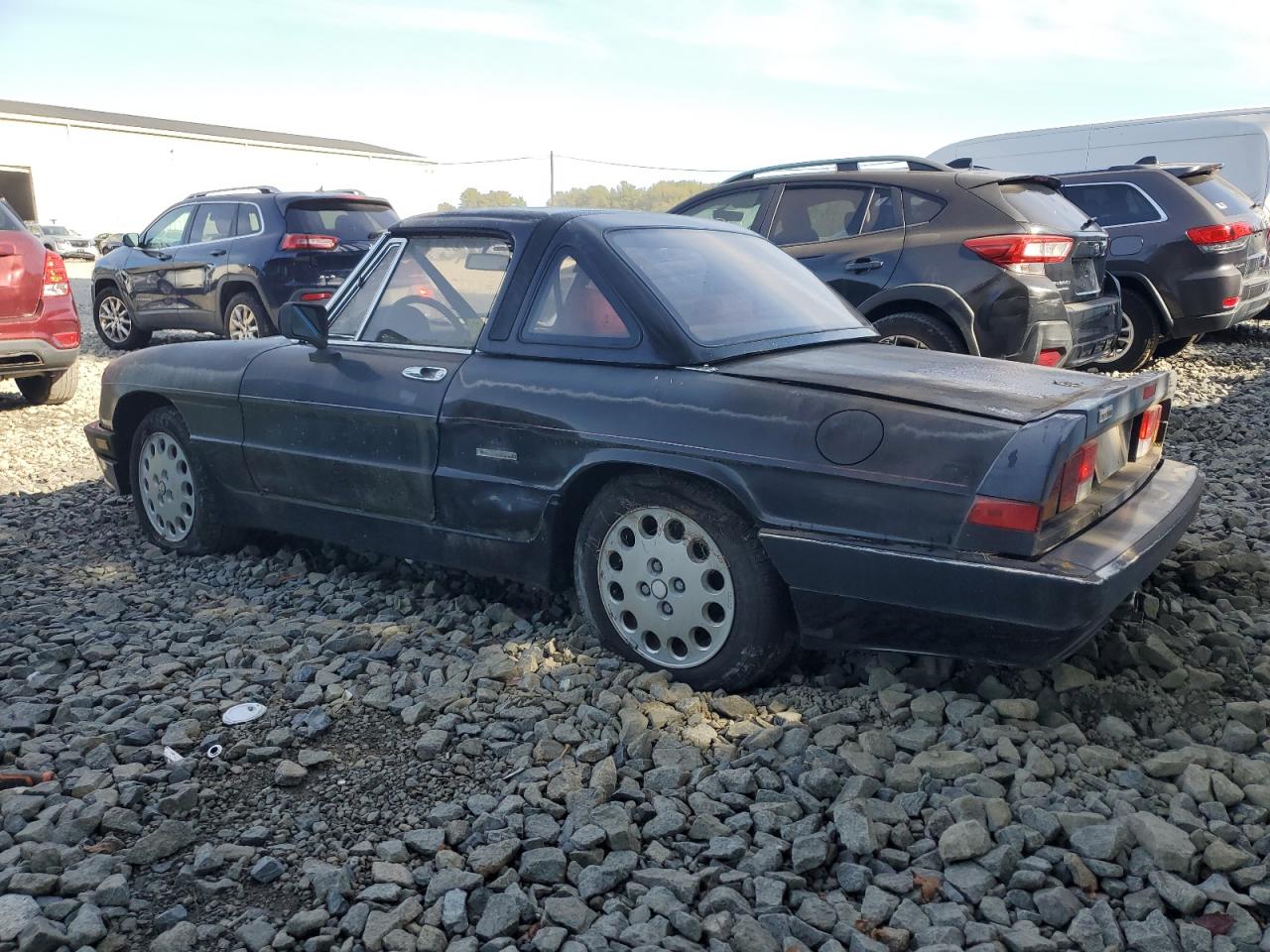 1987 Alfa Romeo Spider Quadrifoglio Black vin: ZARBA5562H1052788