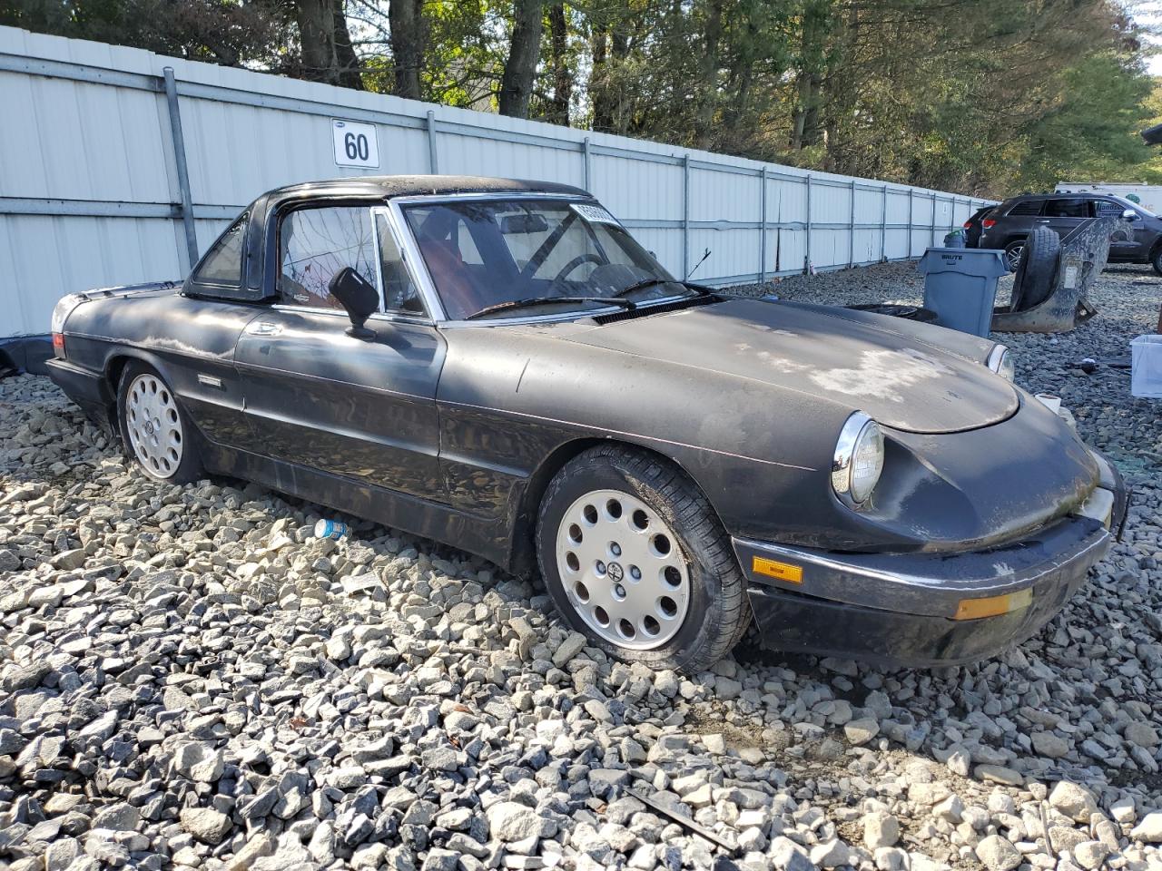 1987 Alfa Romeo Spider Quadrifoglio Black vin: ZARBA5562H1052788