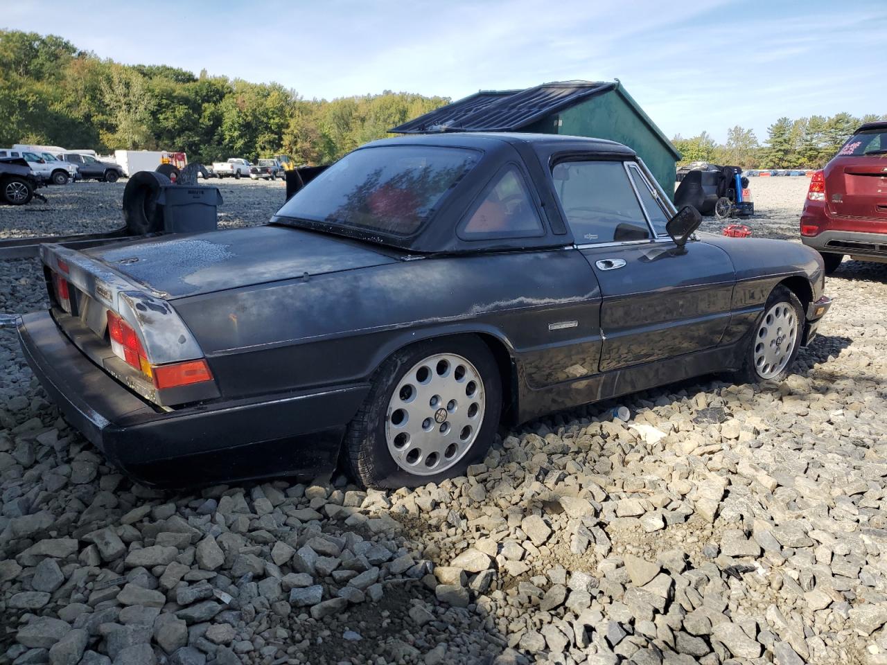 1987 Alfa Romeo Spider Quadrifoglio Black vin: ZARBA5562H1052788