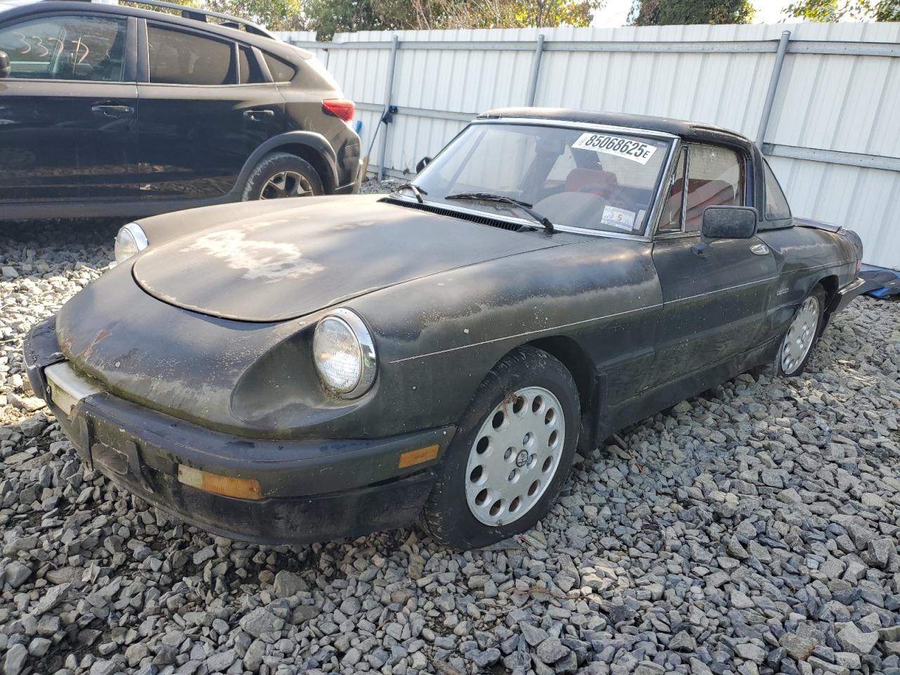 1987 Alfa Romeo Spider Quadrifoglio Black vin: ZARBA5562H1052788
