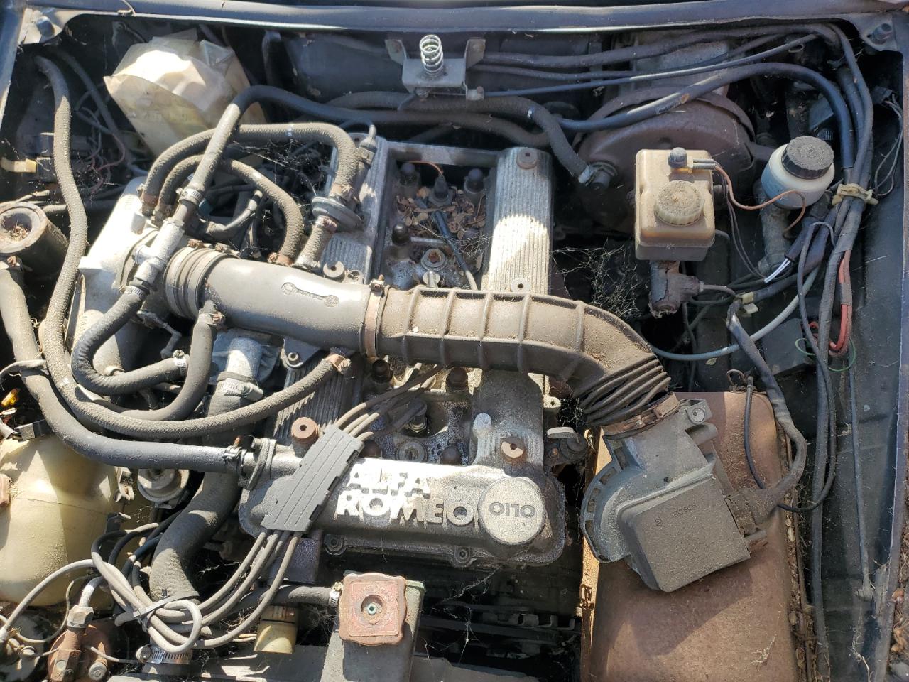 1987 Alfa Romeo Spider Quadrifoglio Black vin: ZARBA5562H1052788