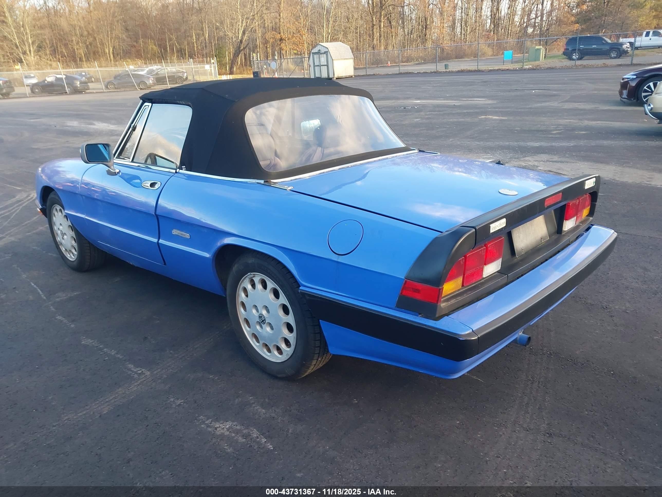 1987 Alfa Romeo Spider Quadrifoglio Blue vin: ZARBA5564H1052551