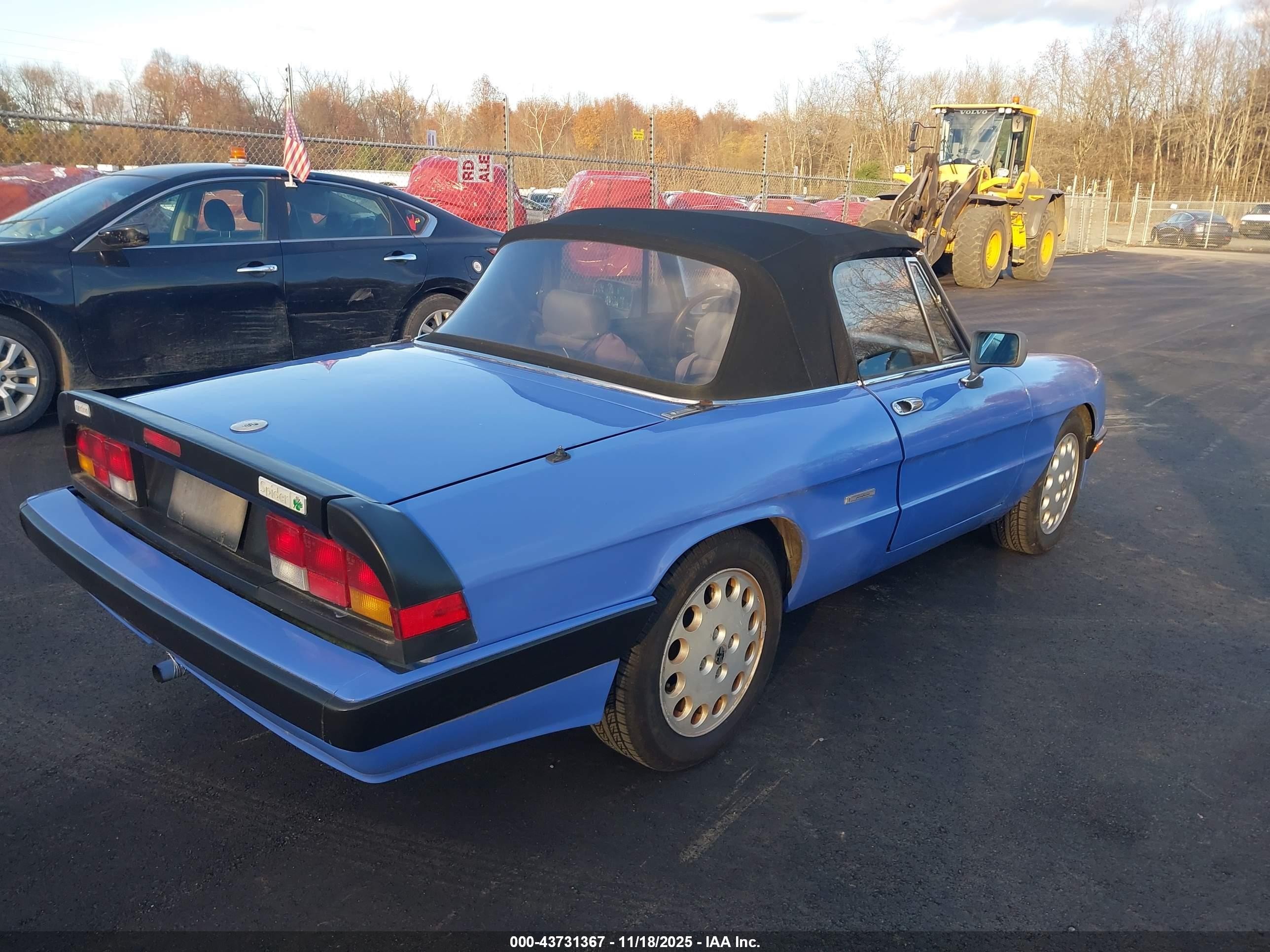 1987 Alfa Romeo Spider Quadrifoglio Blue vin: ZARBA5564H1052551
