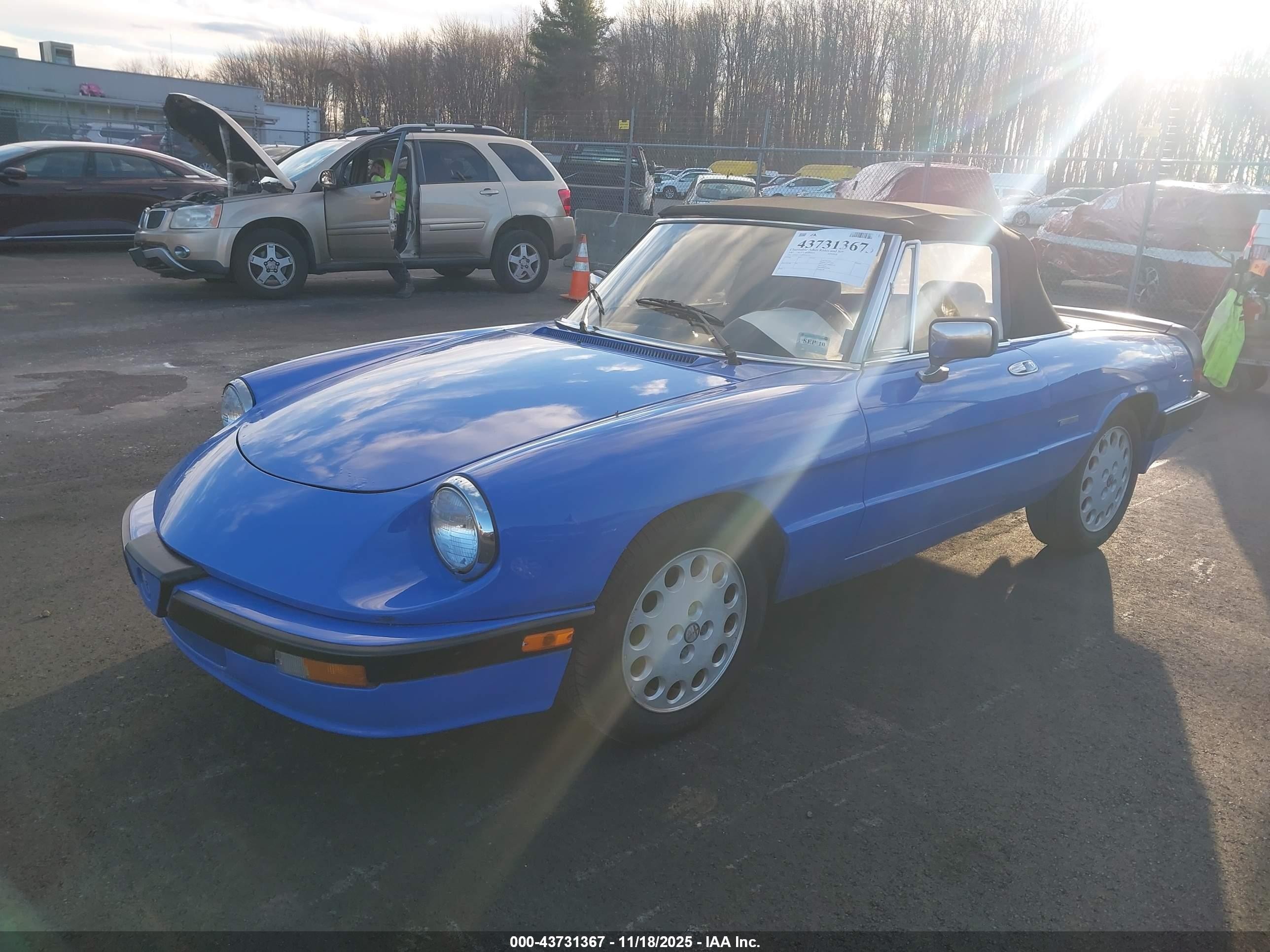 1987 Alfa Romeo Spider Quadrifoglio Blue vin: ZARBA5564H1052551