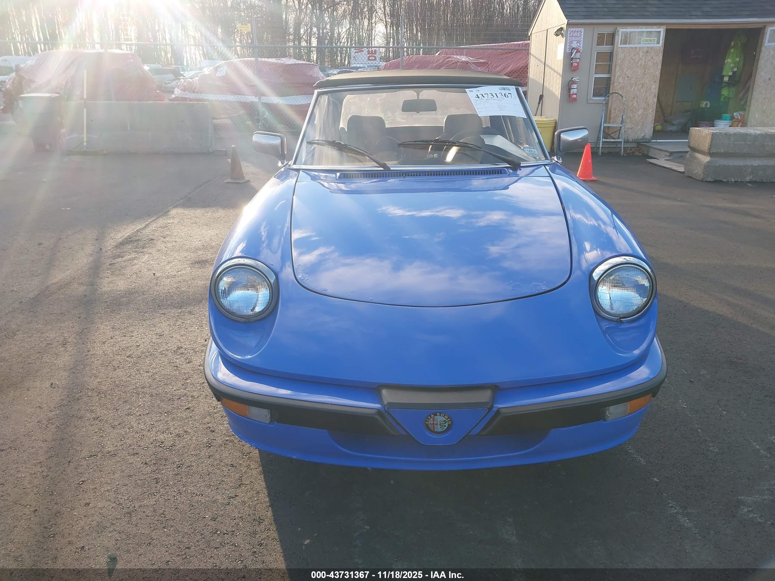 1987 Alfa Romeo Spider Quadrifoglio Blue vin: ZARBA5564H1052551