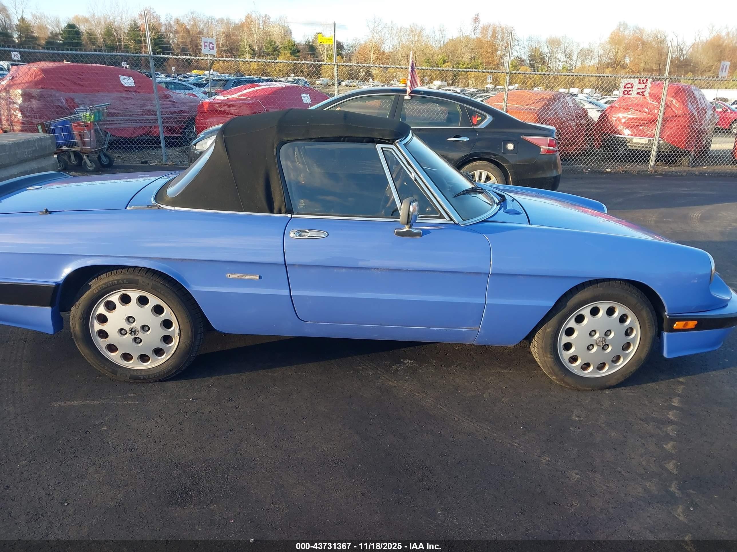 1987 Alfa Romeo Spider Quadrifoglio Blue vin: ZARBA5564H1052551