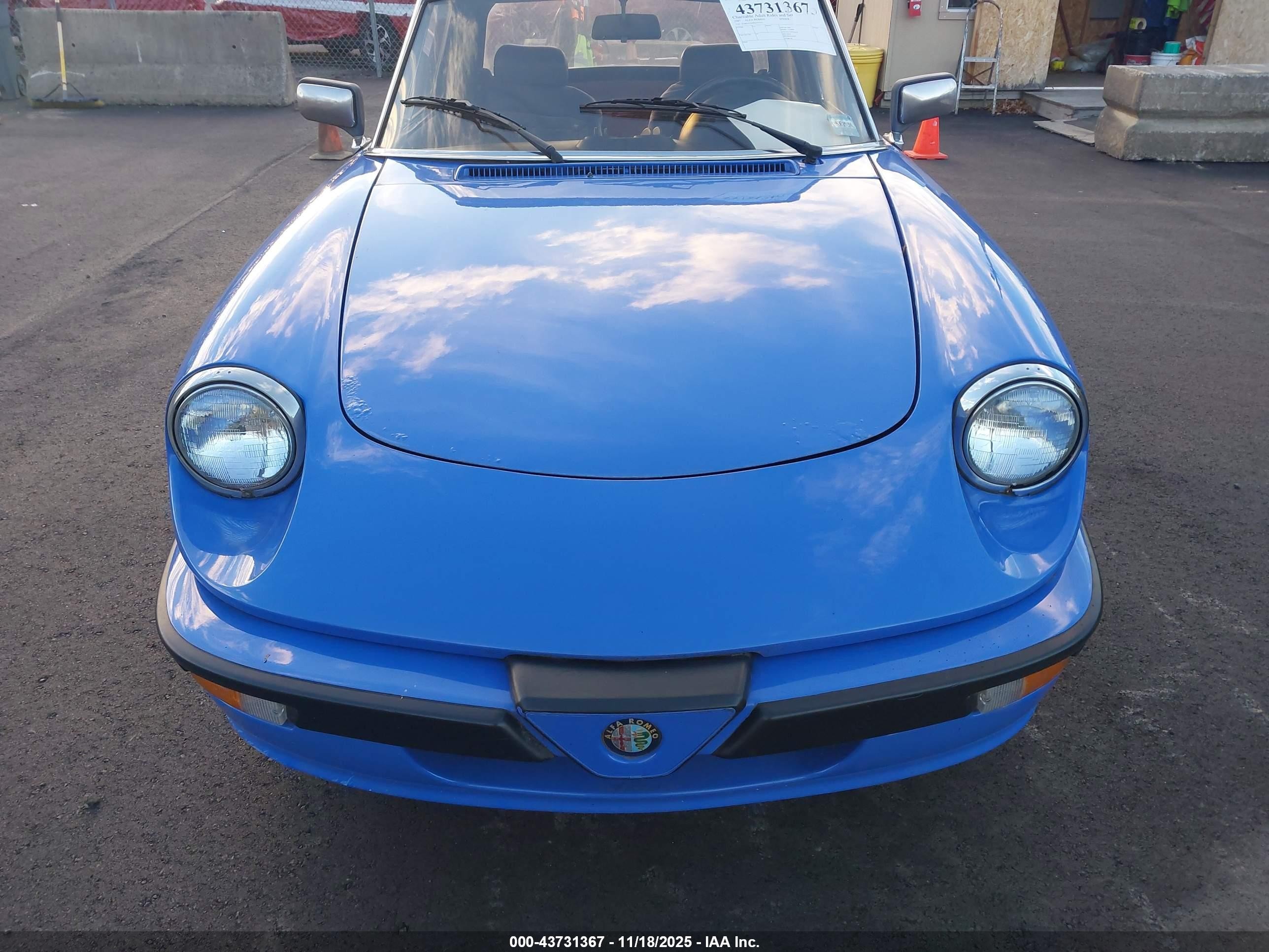 1987 Alfa Romeo Spider Quadrifoglio Blue vin: ZARBA5564H1052551