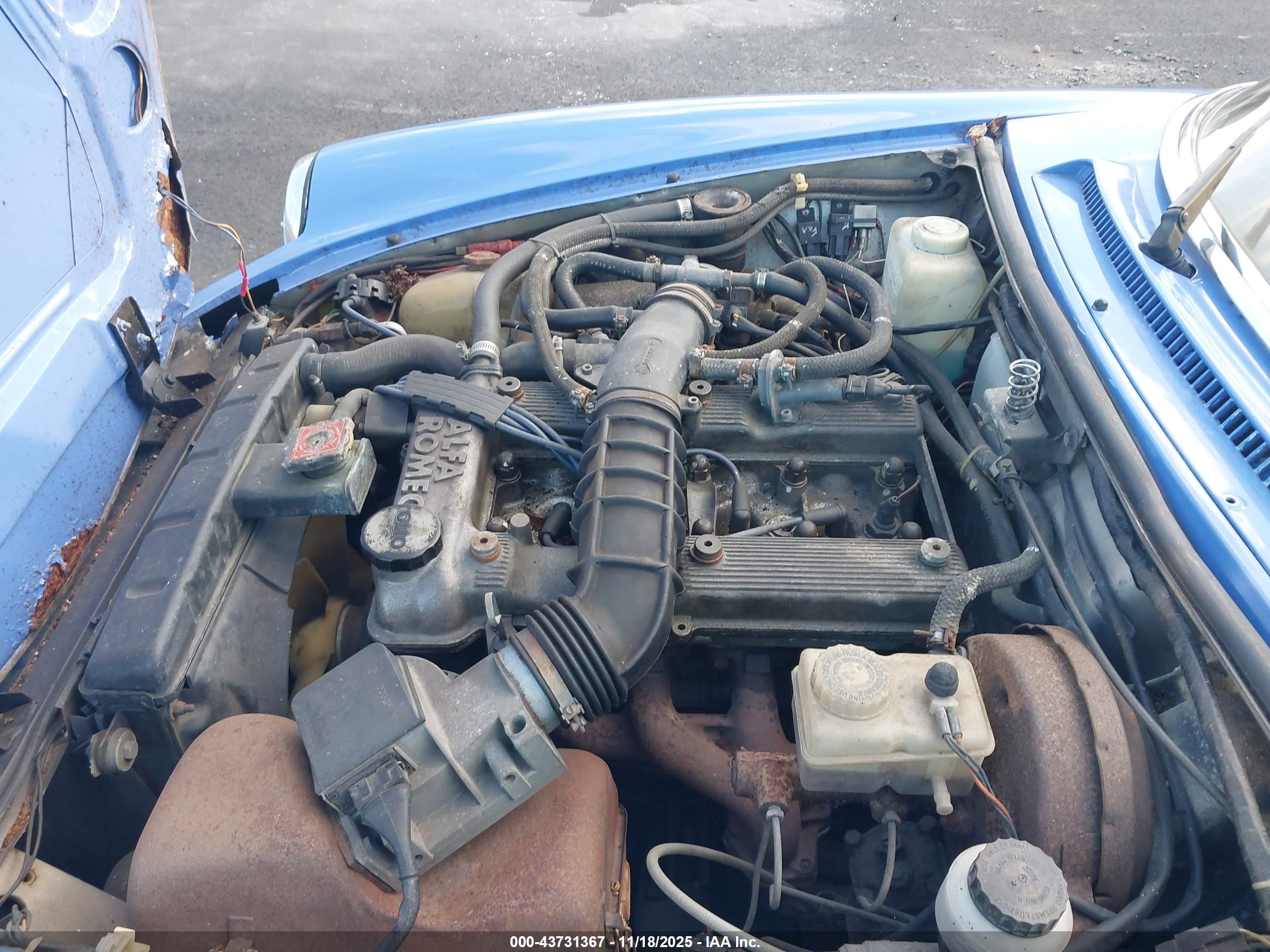 1987 Alfa Romeo Spider Quadrifoglio Blue vin: ZARBA5564H1052551