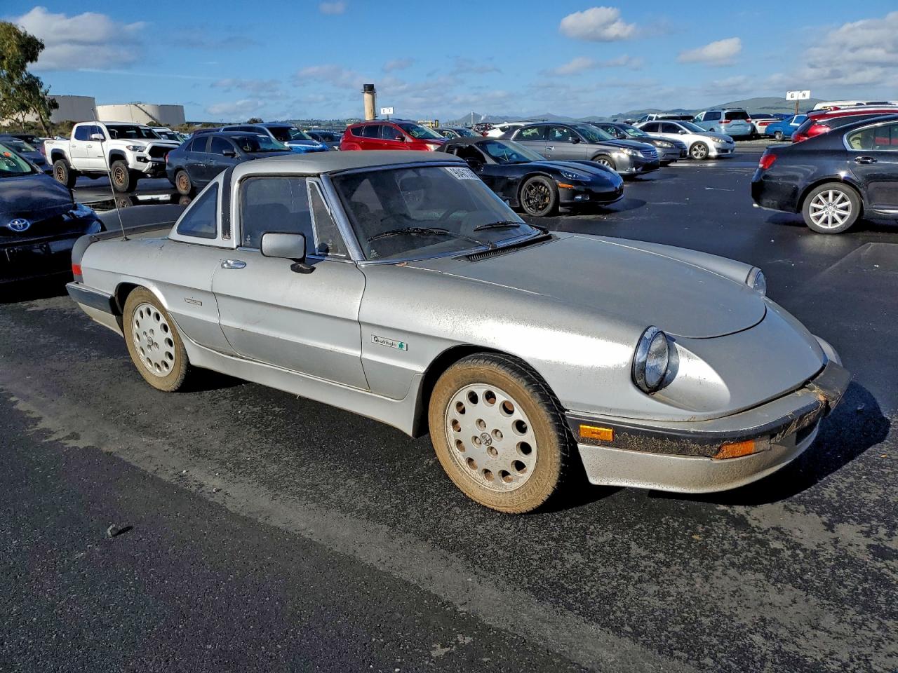 1989 Alfa Romeo Spider Quadrifoglio Серебряный vin: ZARBA5567K1064779