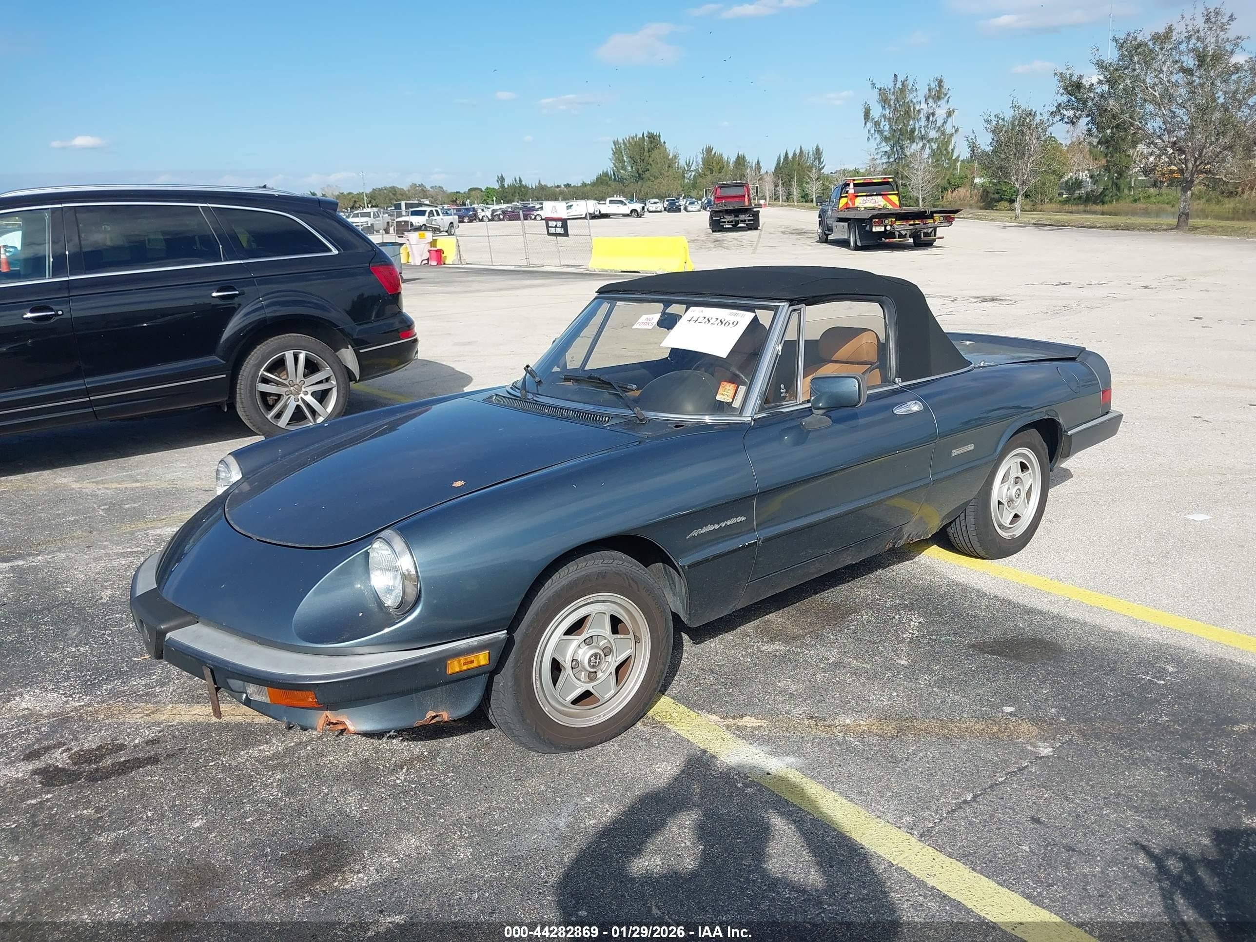 1989 Alfa Romeo Spider Veloce Blue vin: ZARBA5583K1066255