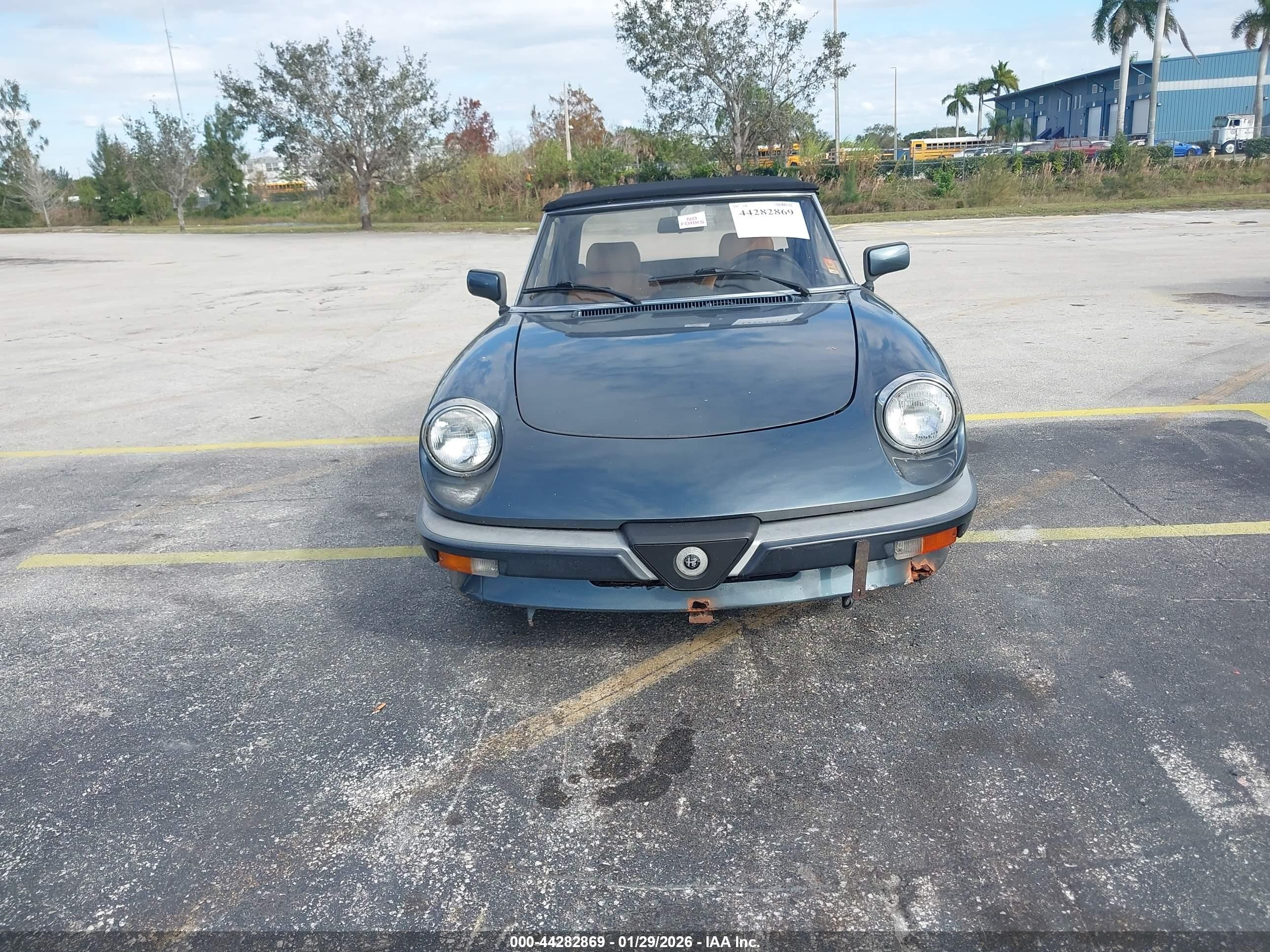 1989 Alfa Romeo Spider Veloce Blue vin: ZARBA5583K1066255