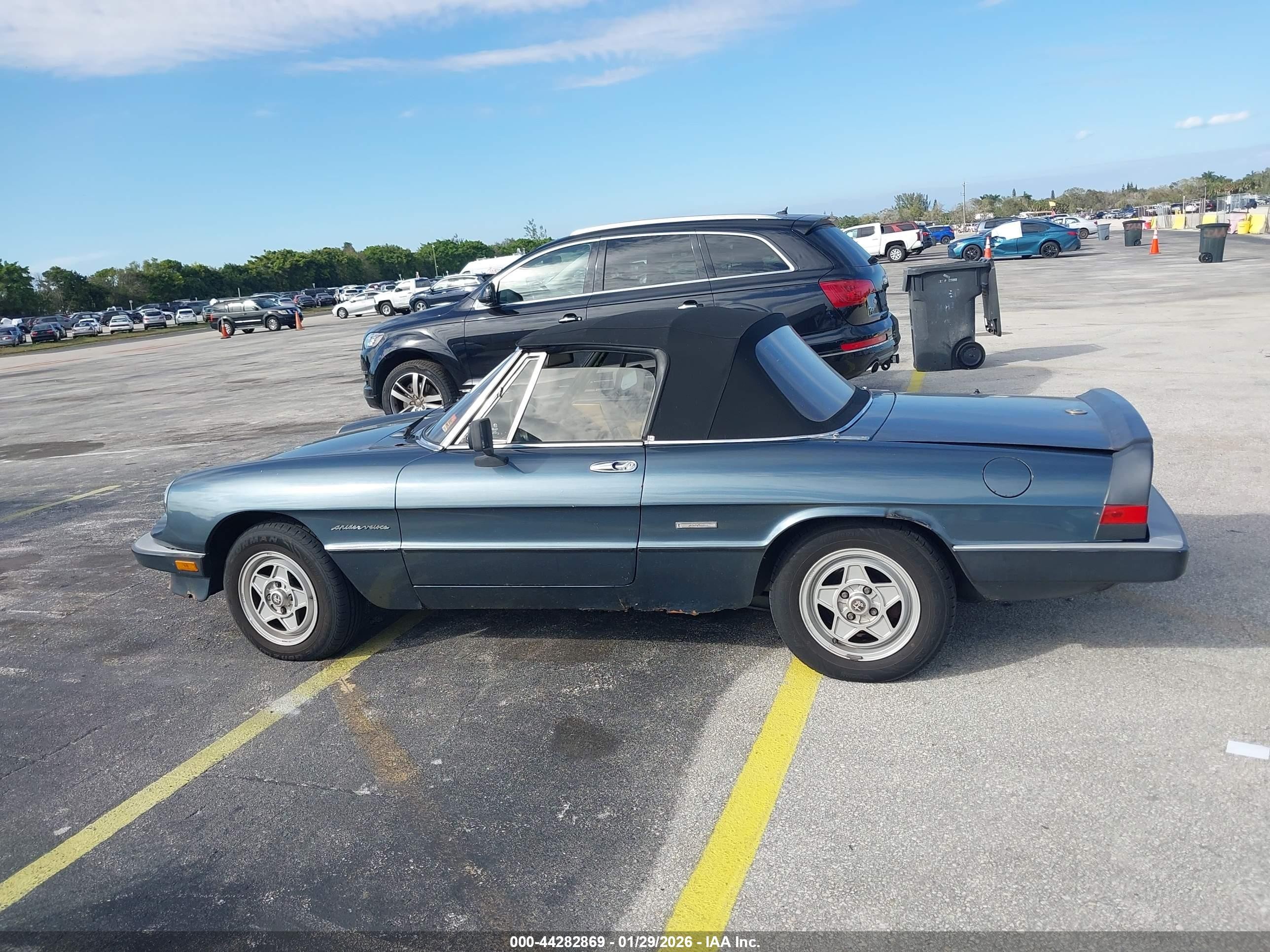 1989 Alfa Romeo Spider Veloce Blue vin: ZARBA5583K1066255