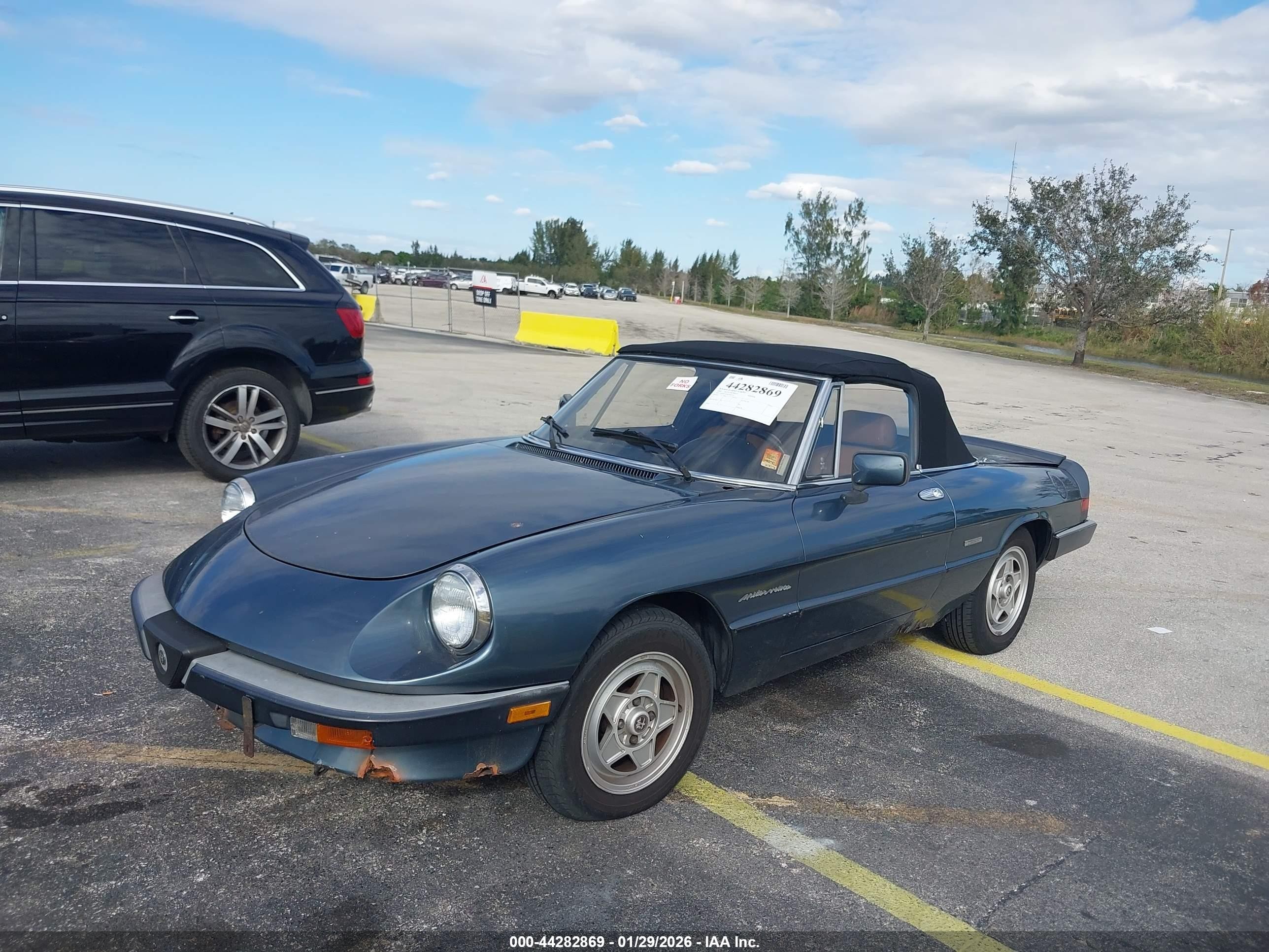 1989 Alfa Romeo Spider Veloce Blue vin: ZARBA5583K1066255
