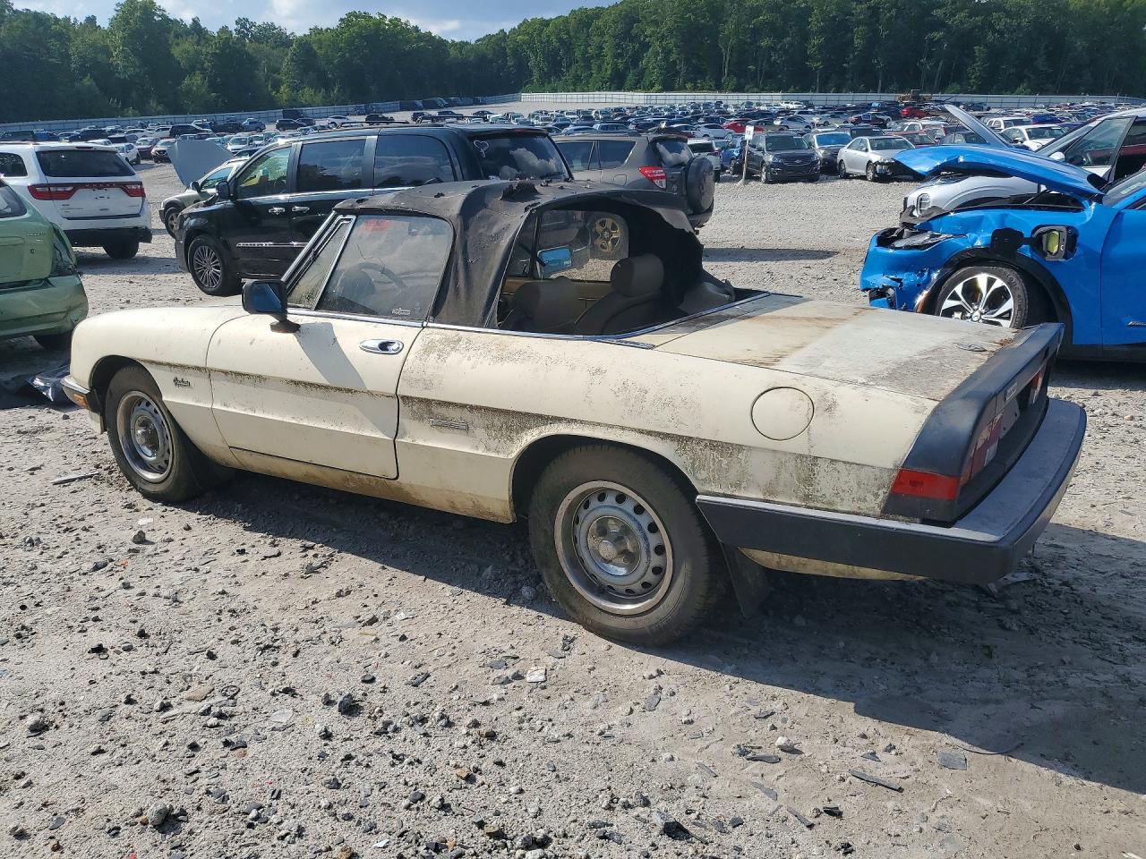 1987 Alfa Romeo Spider Graduate White vin: ZARBA5641H1045361
