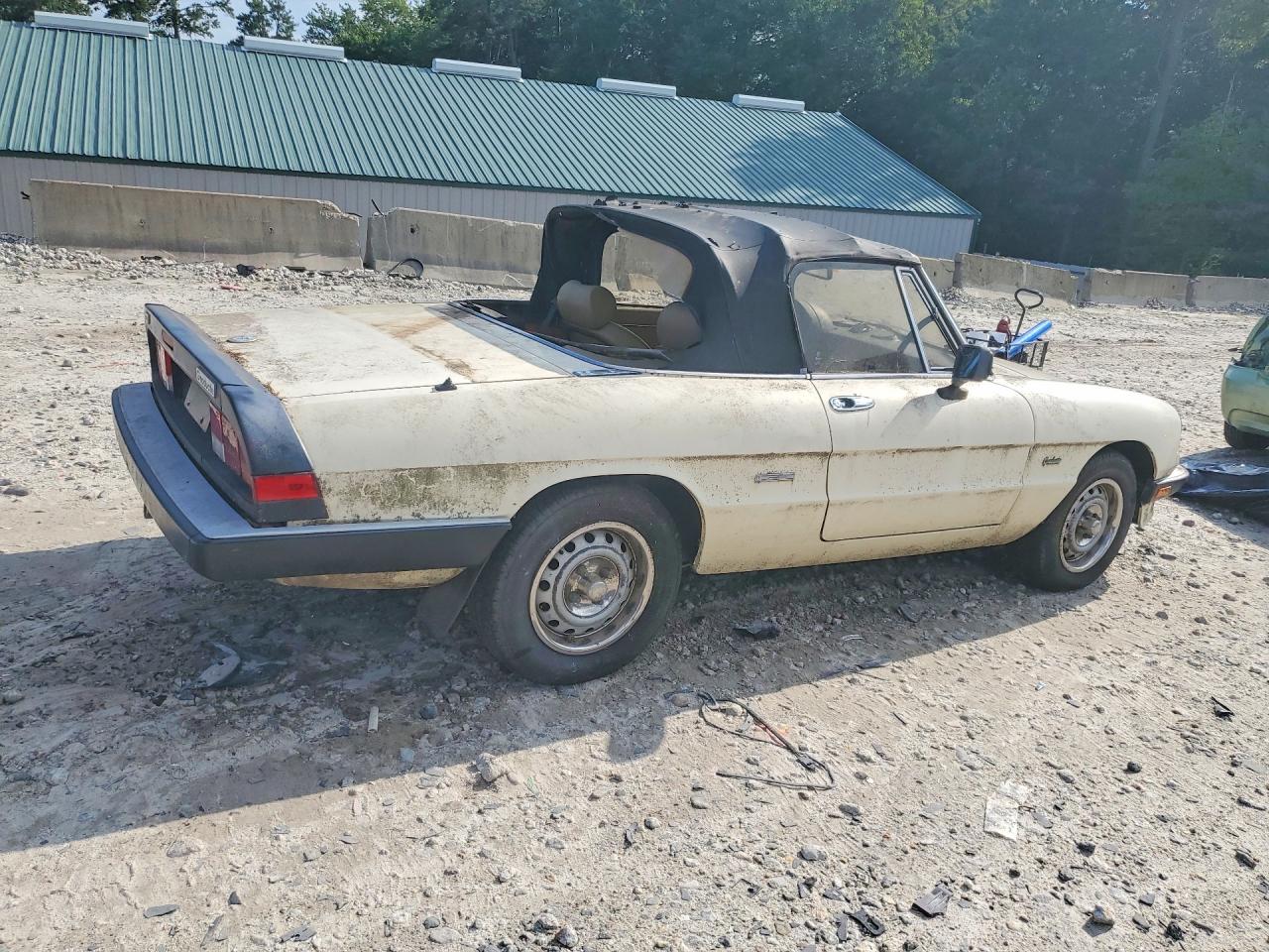 1987 Alfa Romeo Spider Graduate White vin: ZARBA5641H1045361