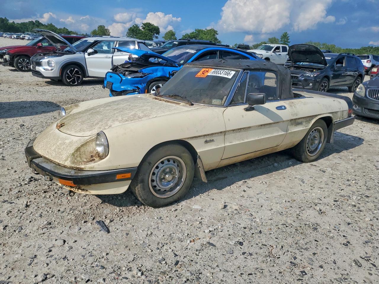 ZARBA5641H1045361