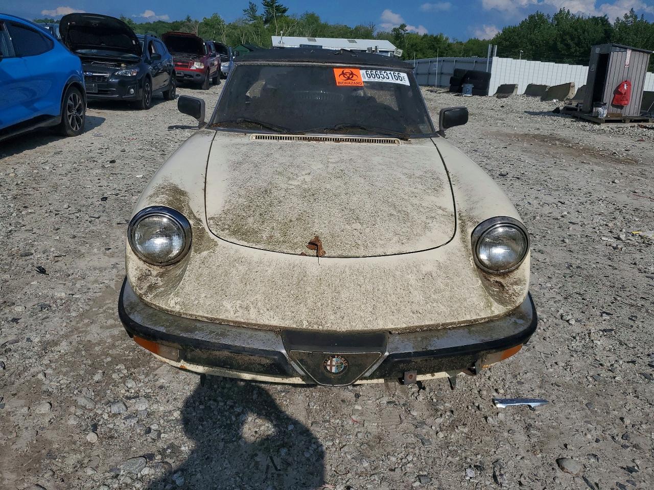1987 Alfa Romeo Spider Graduate White vin: ZARBA5641H1045361