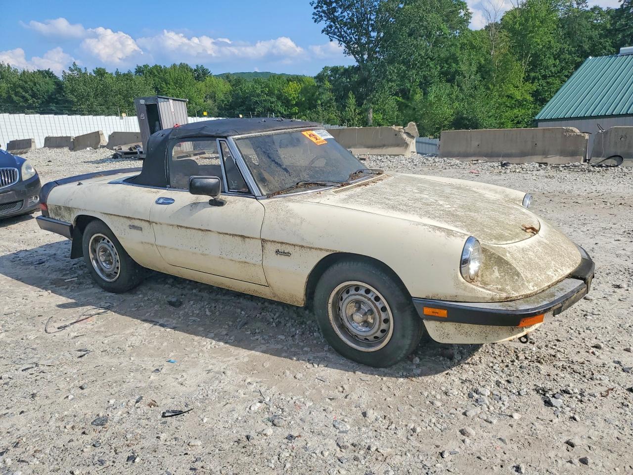 1987 Alfa Romeo Spider Graduate White vin: ZARBA5641H1045361