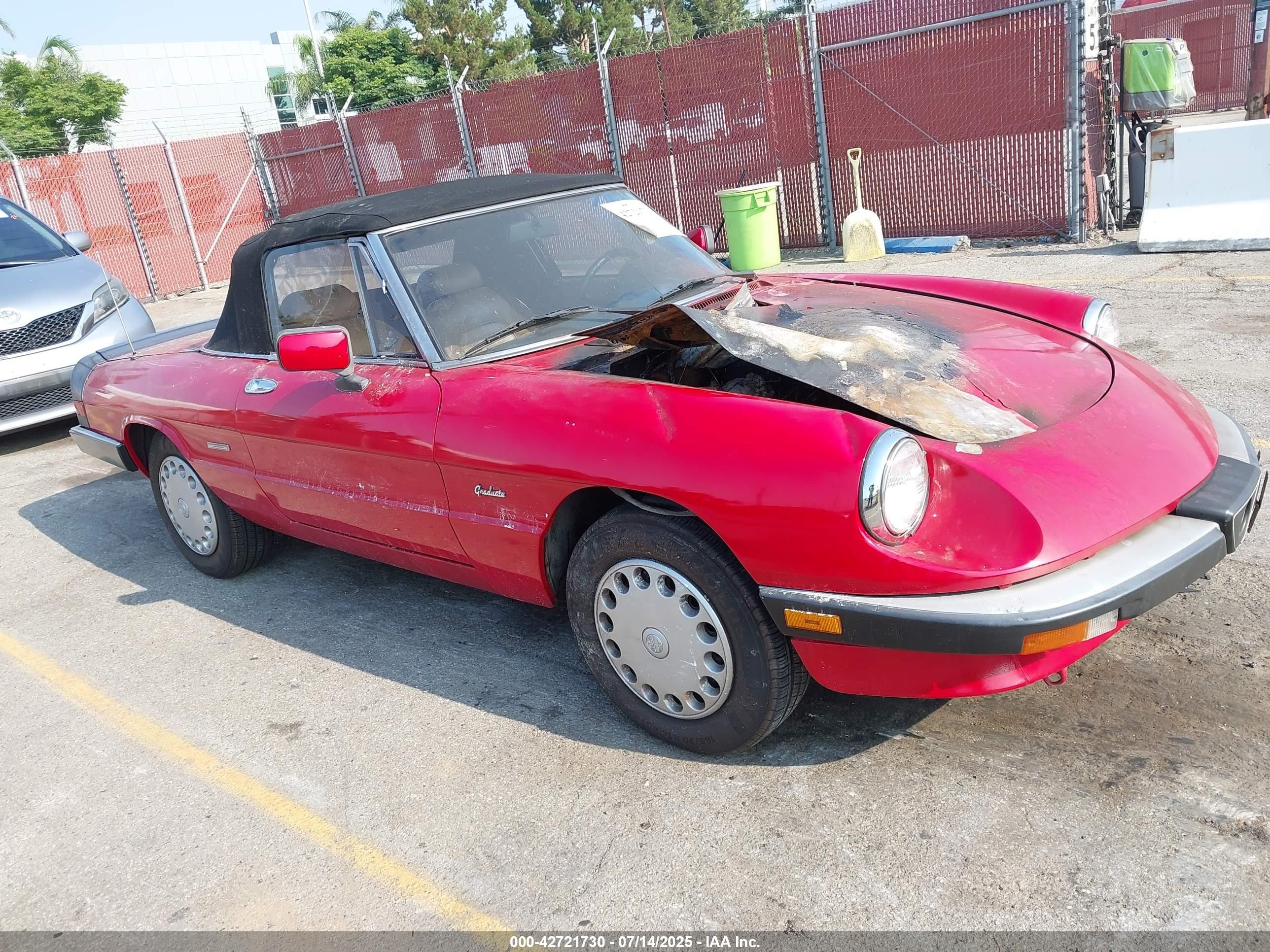 1989 Alfa Romeo Spider Graduate Красный vin: ZARBA5641K1063205