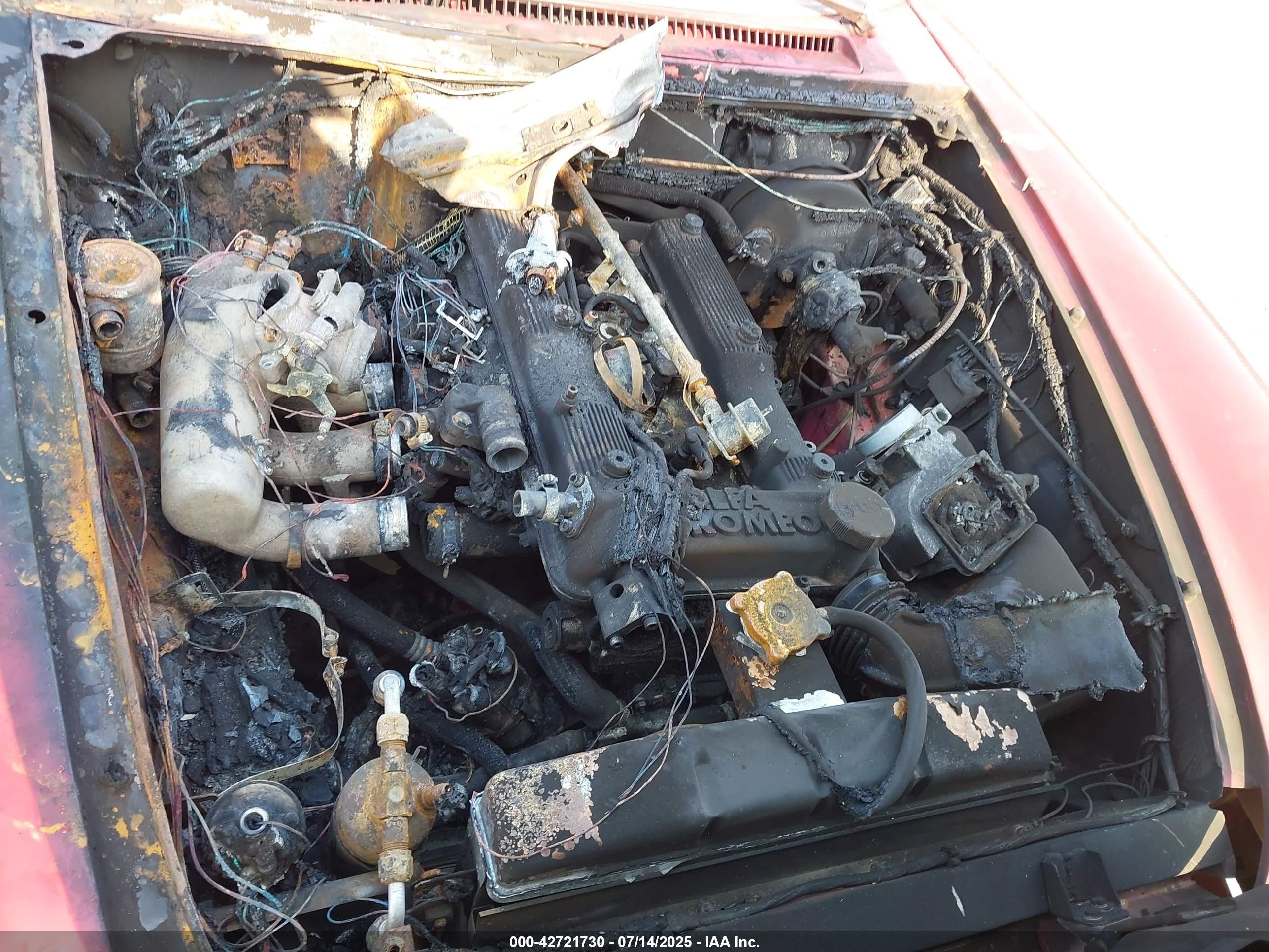 1989 Alfa Romeo Spider Graduate Красный vin: ZARBA5641K1063205
