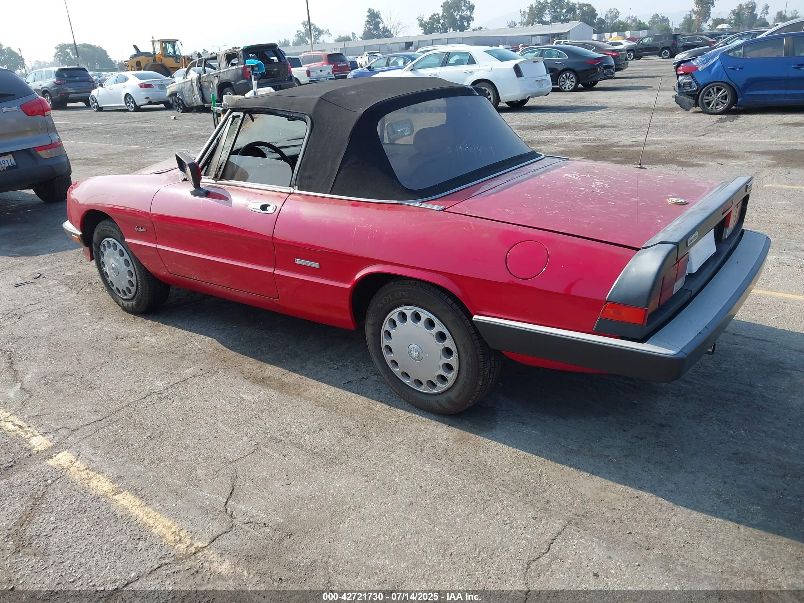 1989 Alfa Romeo Spider Graduate Красный vin: ZARBA5641K1063205
