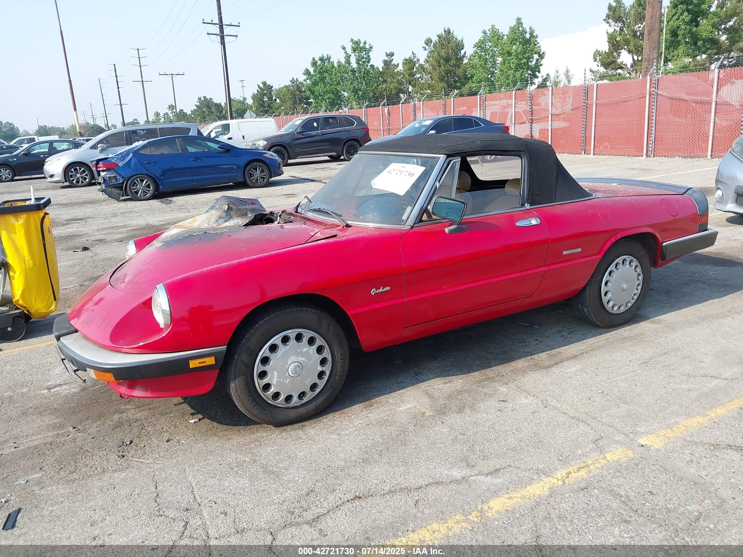 1989 Alfa Romeo Spider Graduate Красный vin: ZARBA5641K1063205