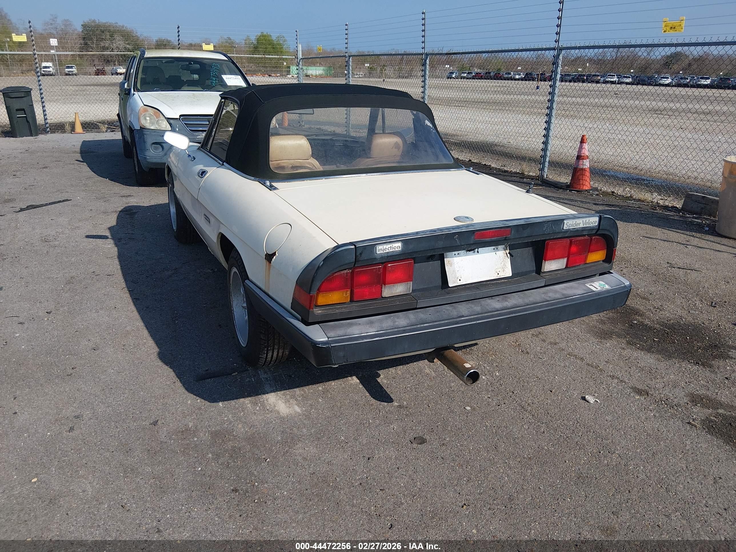 1987 Alfa Romeo Spider Graduate Cream vin: ZARBA5647H1045364