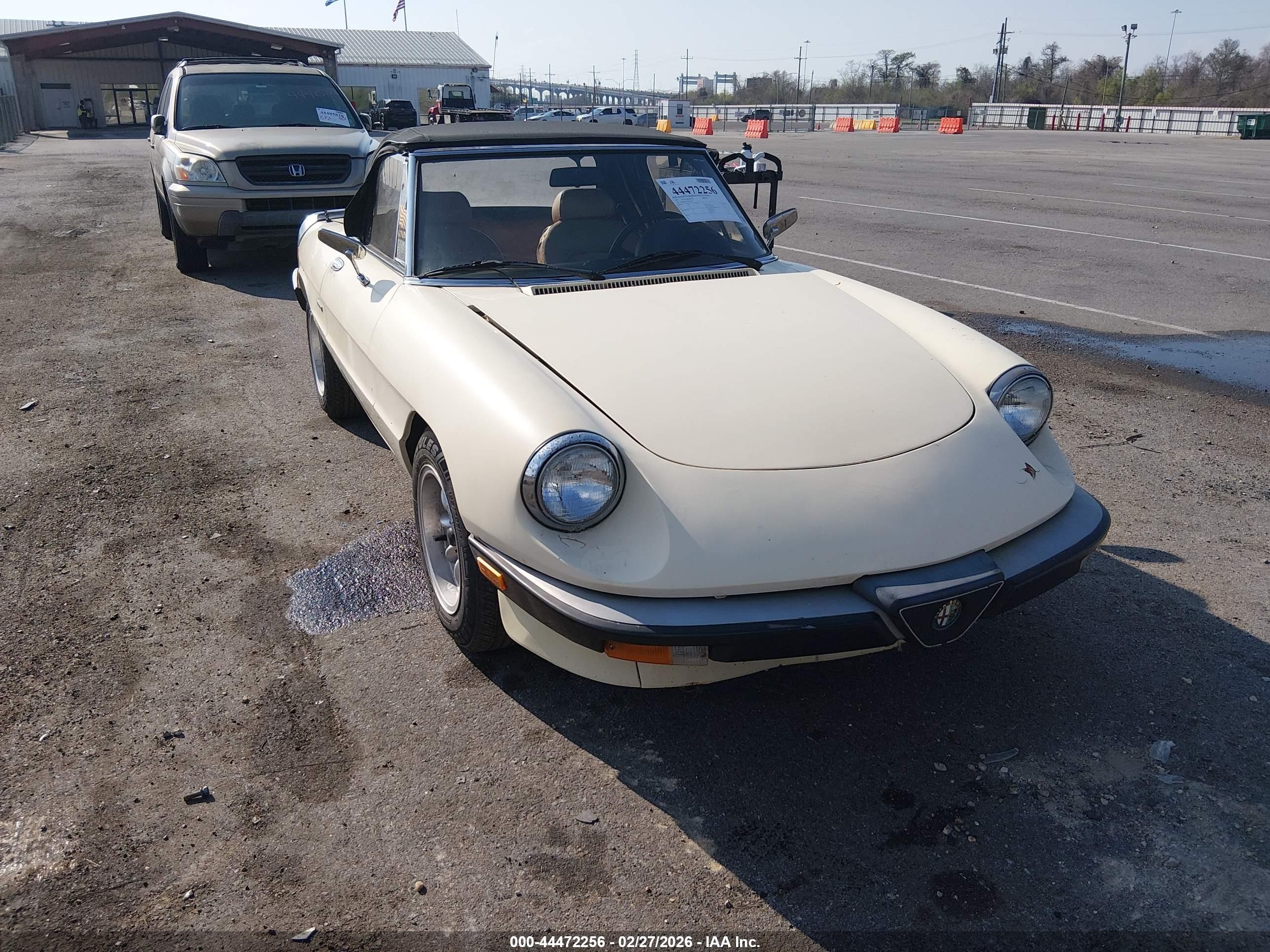 1987 Alfa Romeo Spider Graduate Cream vin: ZARBA5647H1045364