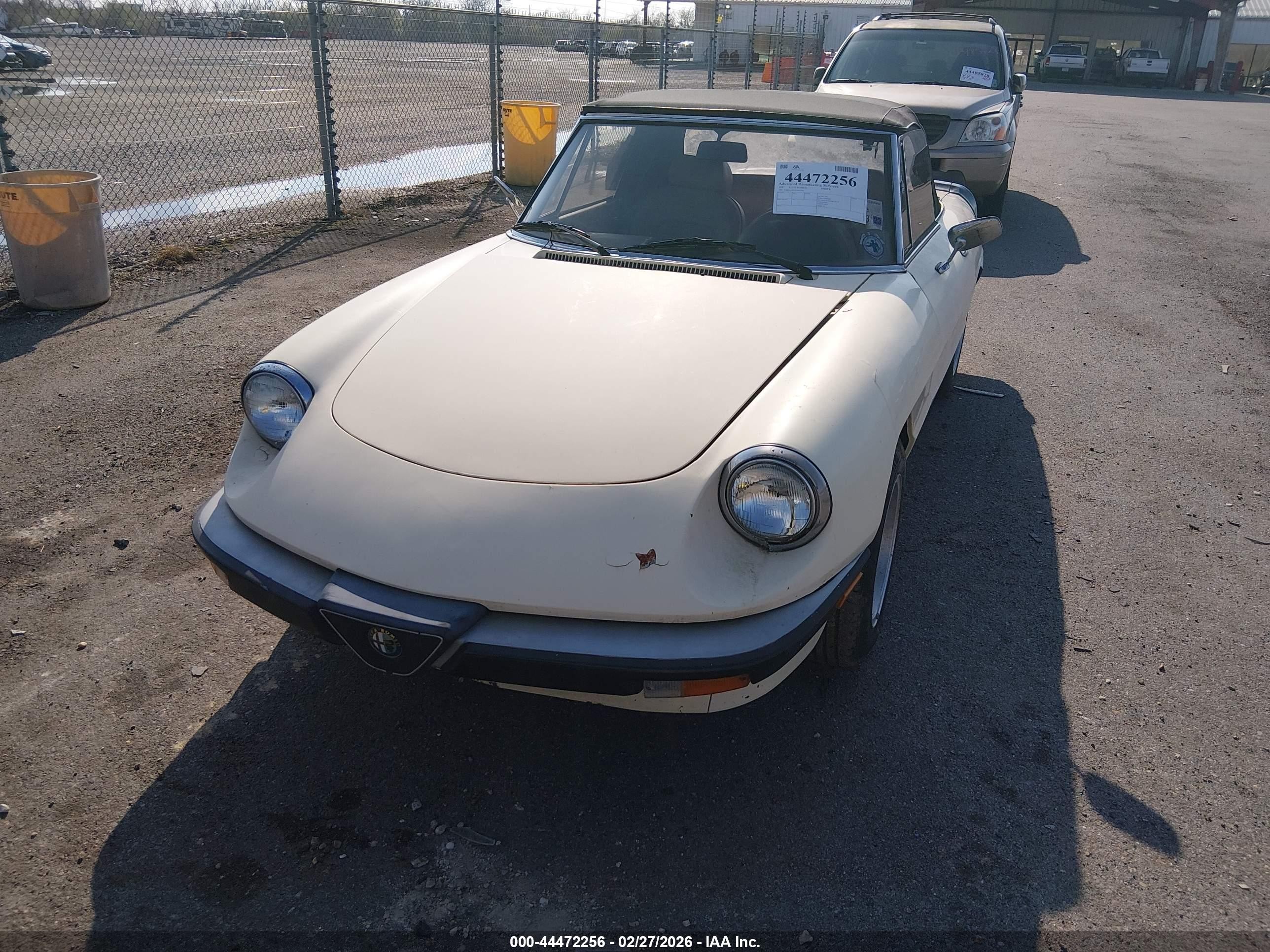 1987 Alfa Romeo Spider Graduate Cream vin: ZARBA5647H1045364