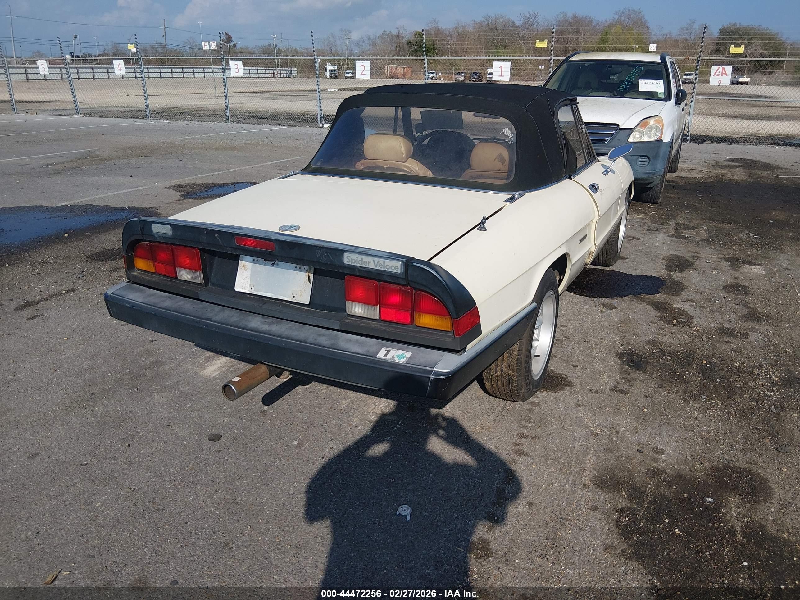 1987 Alfa Romeo Spider Graduate Cream vin: ZARBA5647H1045364