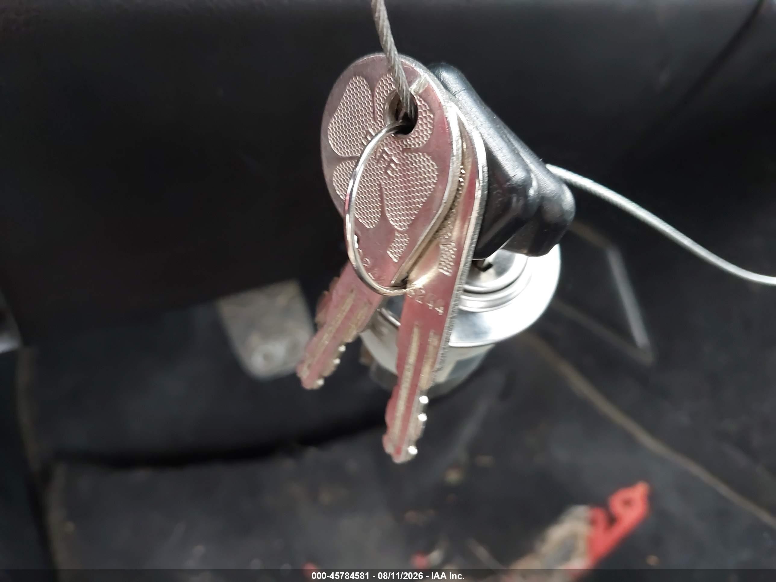 1987 Alfa Romeo Spider Graduate Red vin: ZARBA5648H1045552