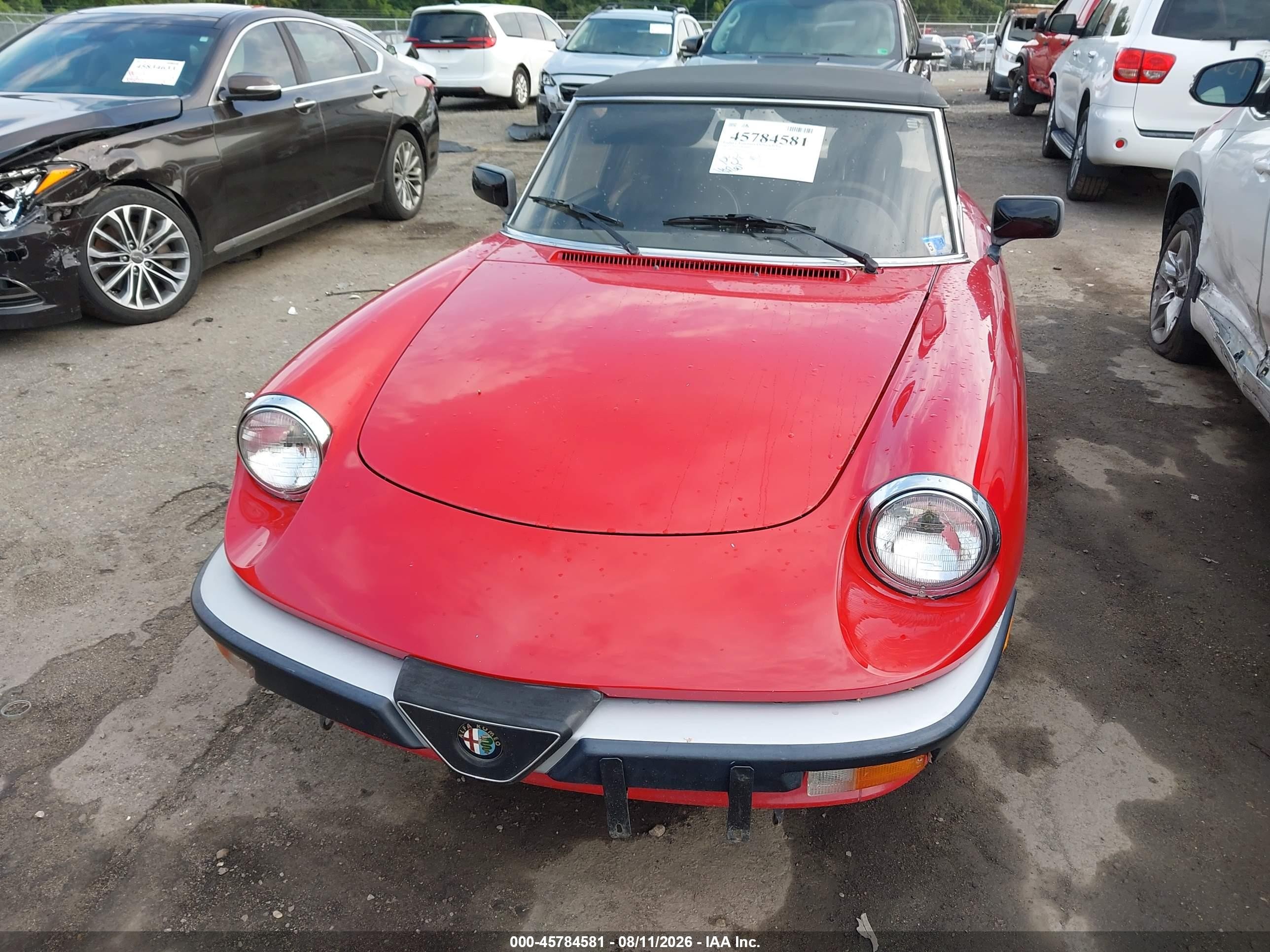 1987 Alfa Romeo Spider Graduate Red vin: ZARBA5648H1045552